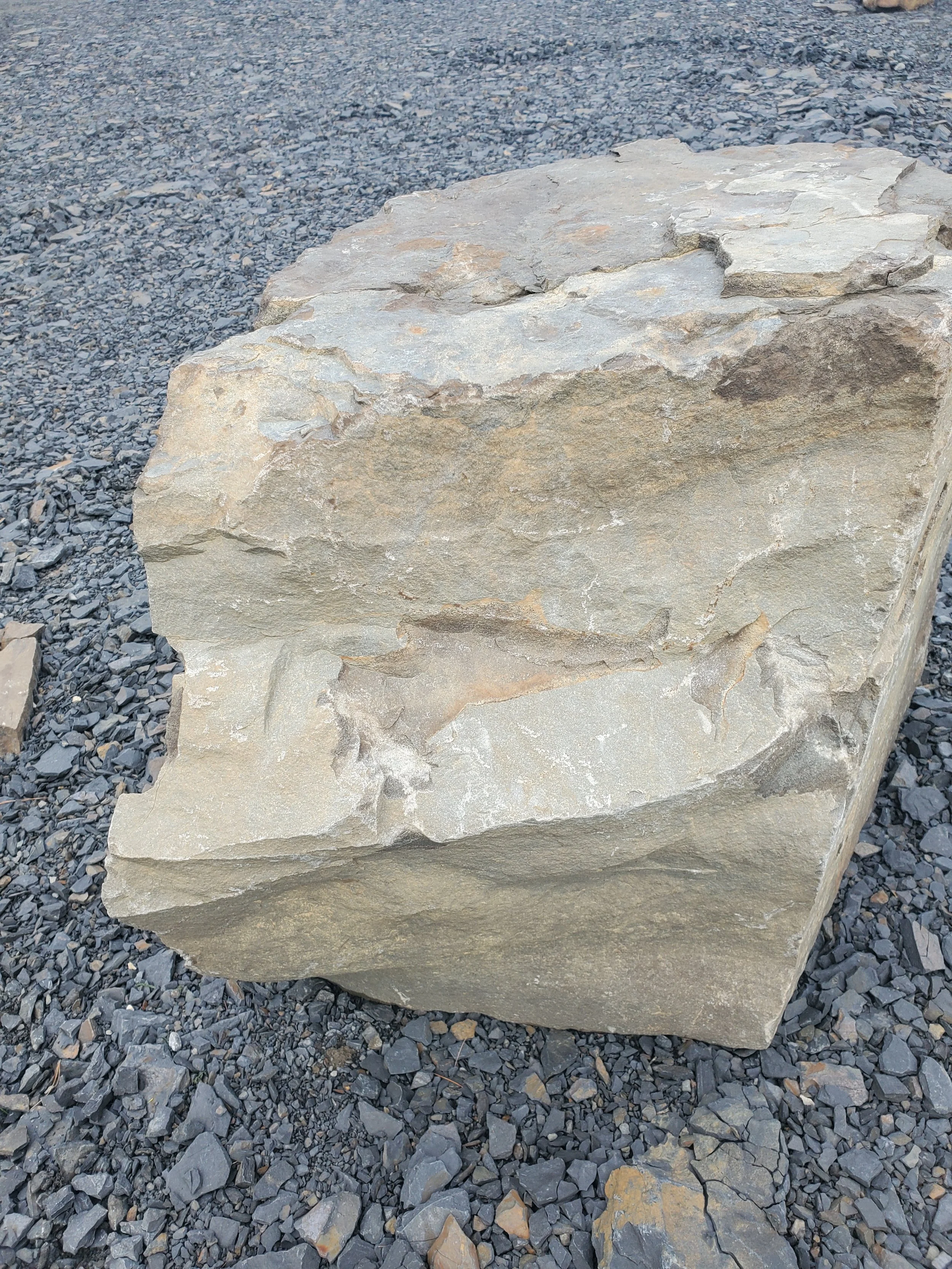 Large beige and gray rock on a bed of small gray gravel.