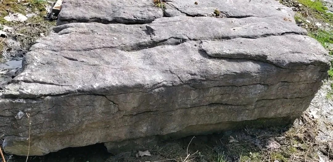 Large, flat, gray rock on the ground with grass and dirt surrounding it.