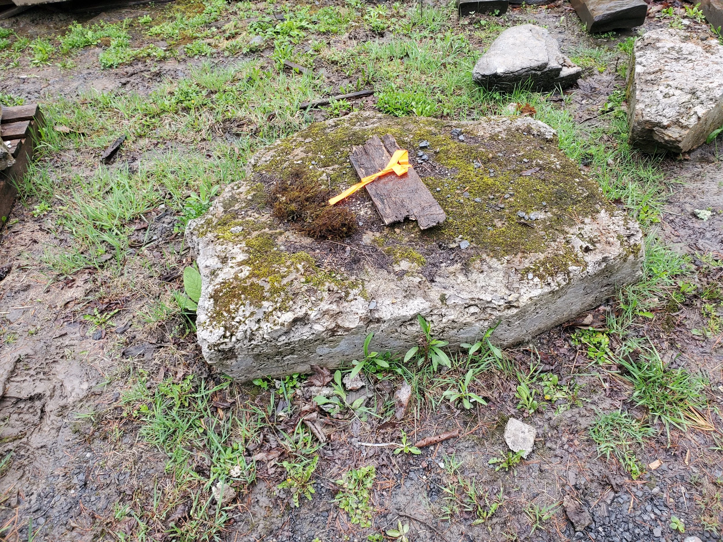 A moss-covered boulder with a piece of wood and a yellow ribbon on top, surrounded by muddy ground with patches of grass and small rocks.