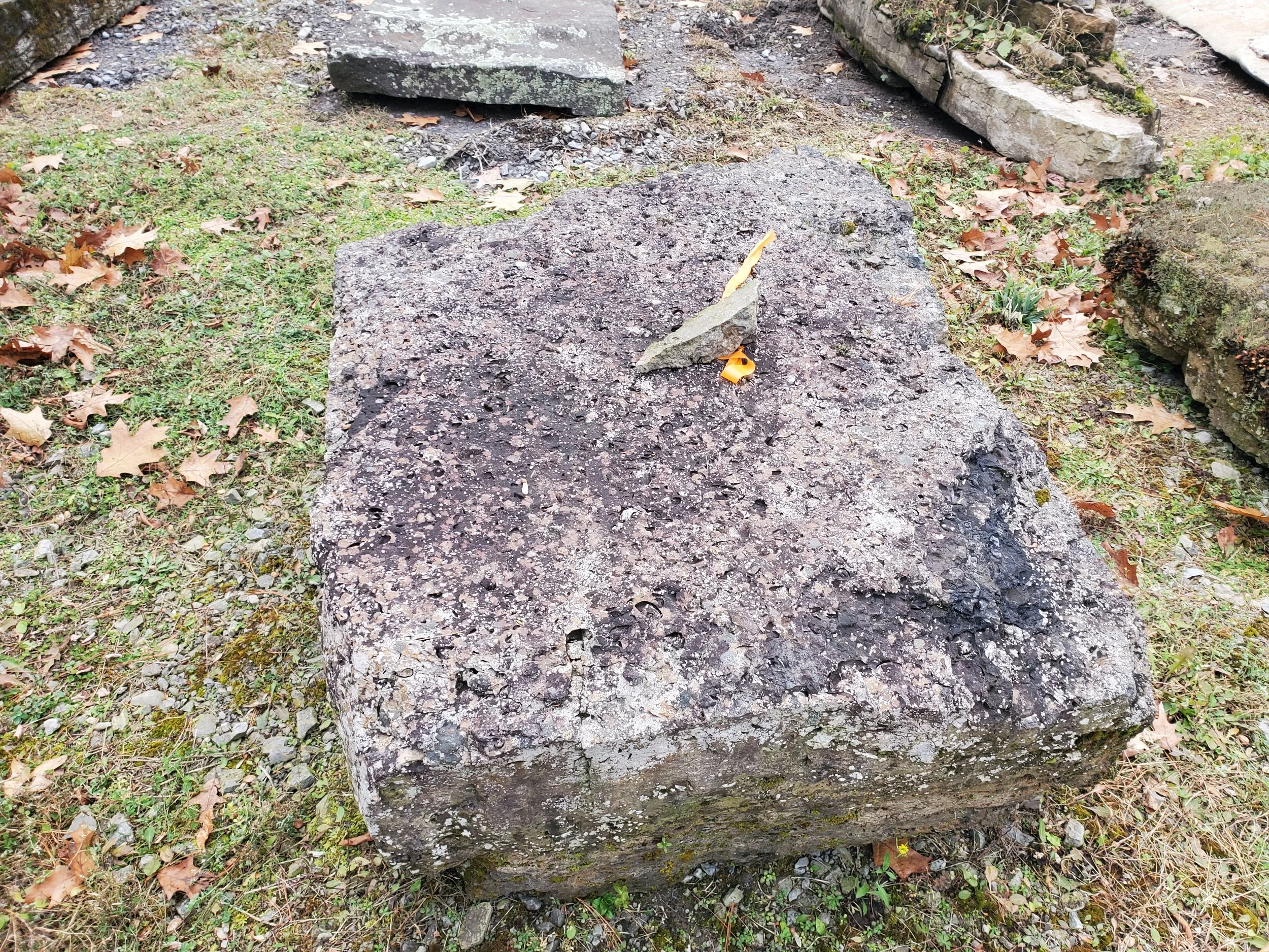 A large, rough-textured stone sitting on the ground surrounded by fallen leaves and small plants, with smaller rocks and greenery in the background.