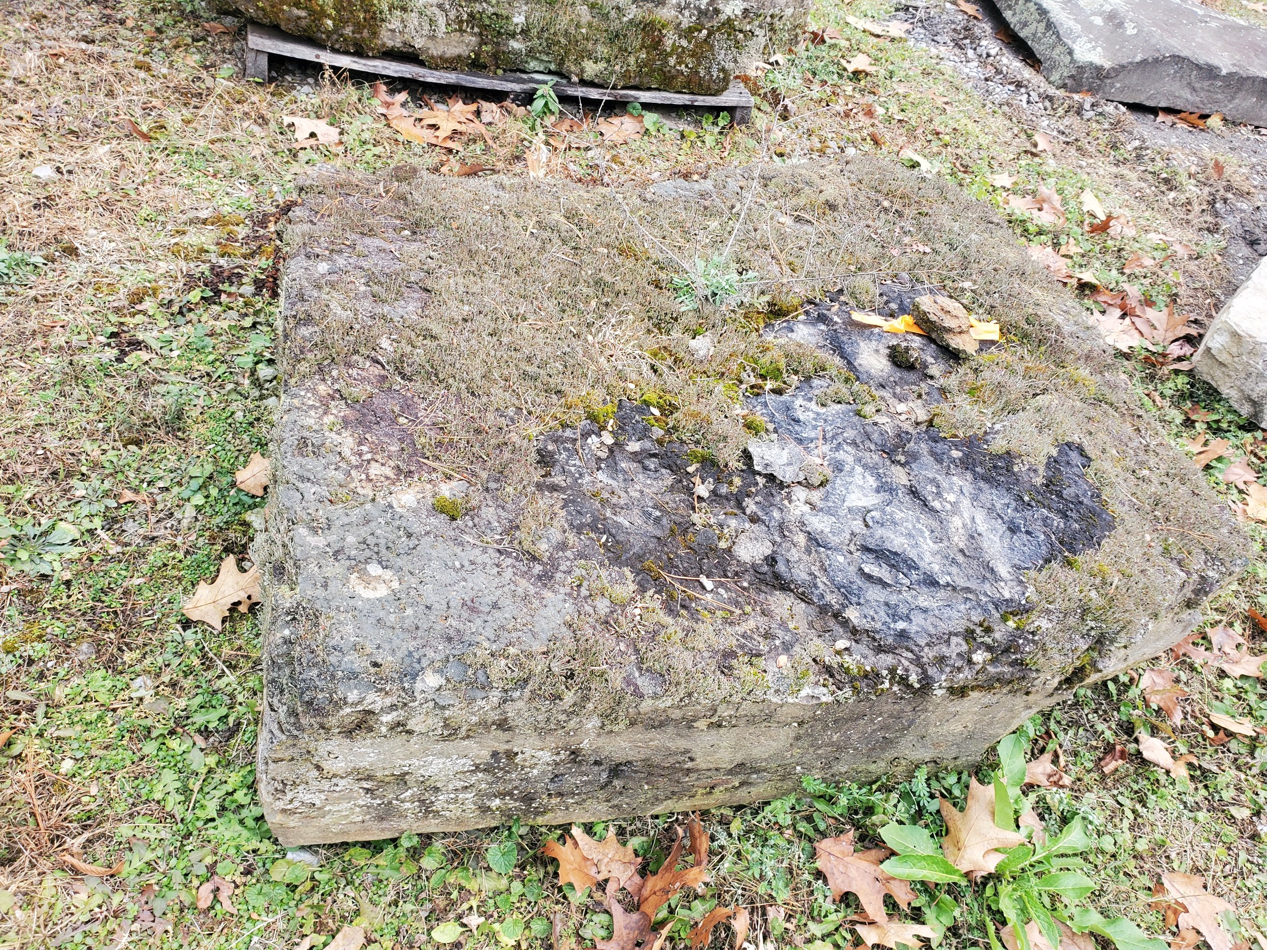 A large, worn stone with moss and dirt on it, lying on grass with some dried leaves and small plants around, and a small wooden platform or lid partially visible behind it.