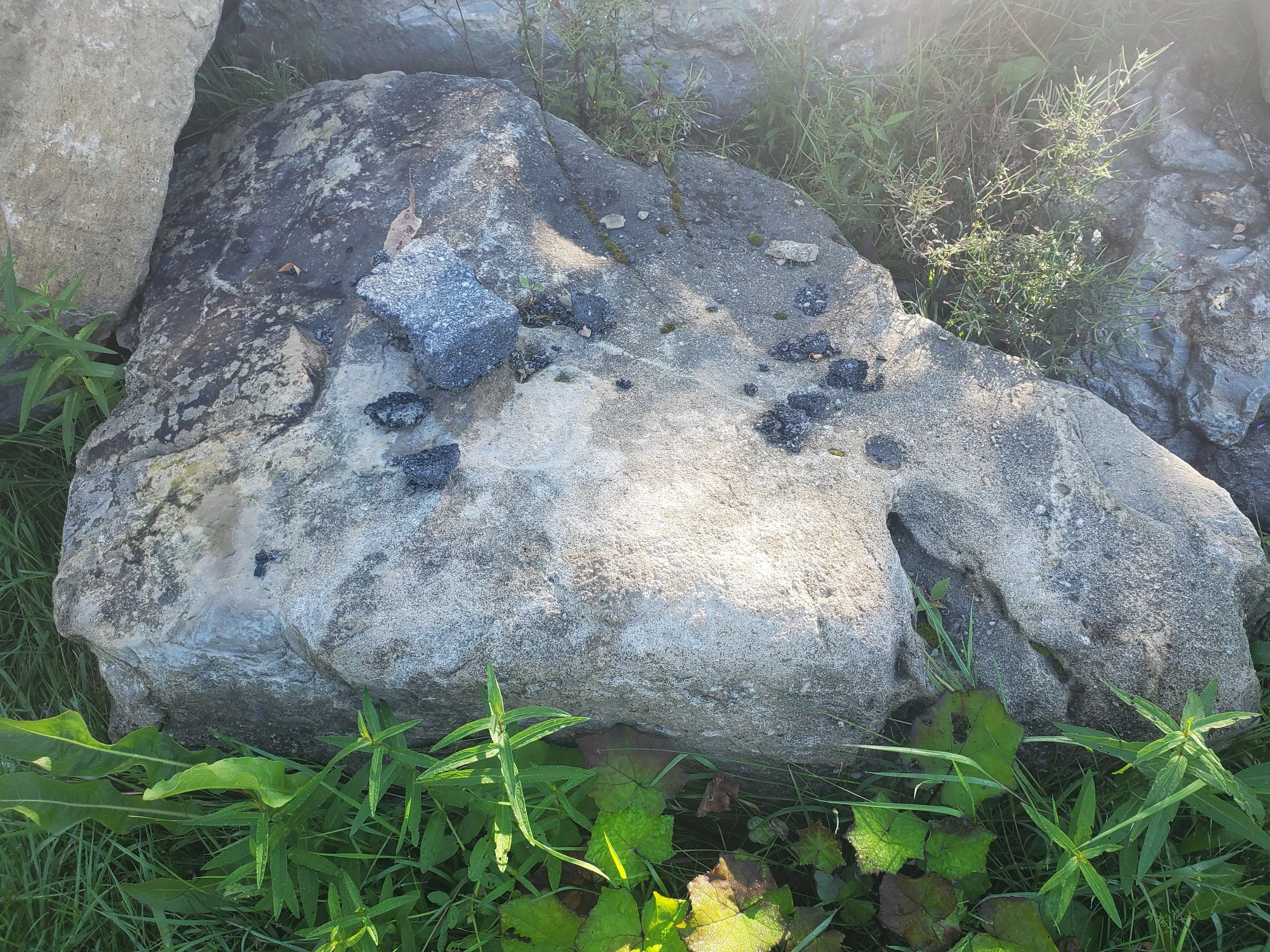 Large rocks surrounded by green grass and plants, with some smaller black rocks or charcoal pieces on top of the larger rocks.