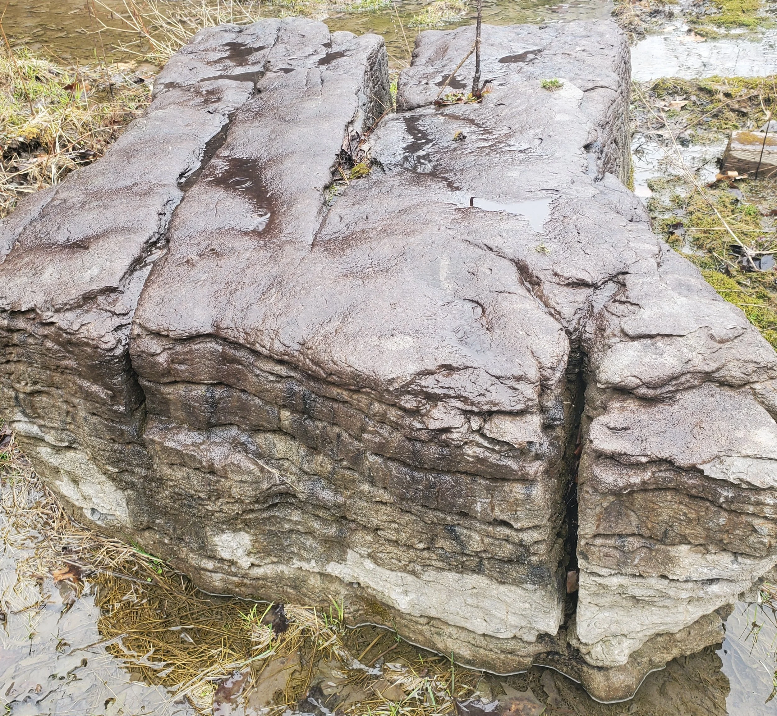Large weathered rock partially submerged in water with moss and grass around it.