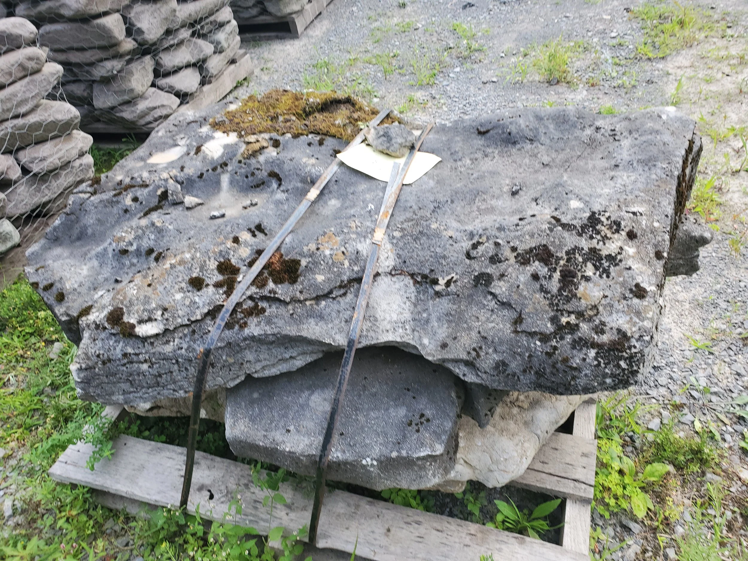 Rocky waterfall with vegetation in New York