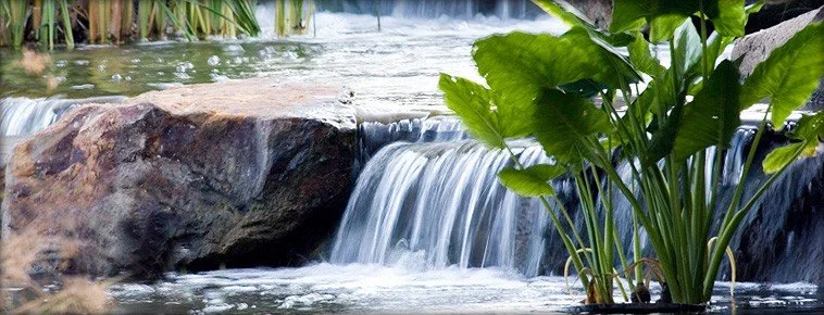 Small waterfall flowing over rocks into a stream with green plants nearby.