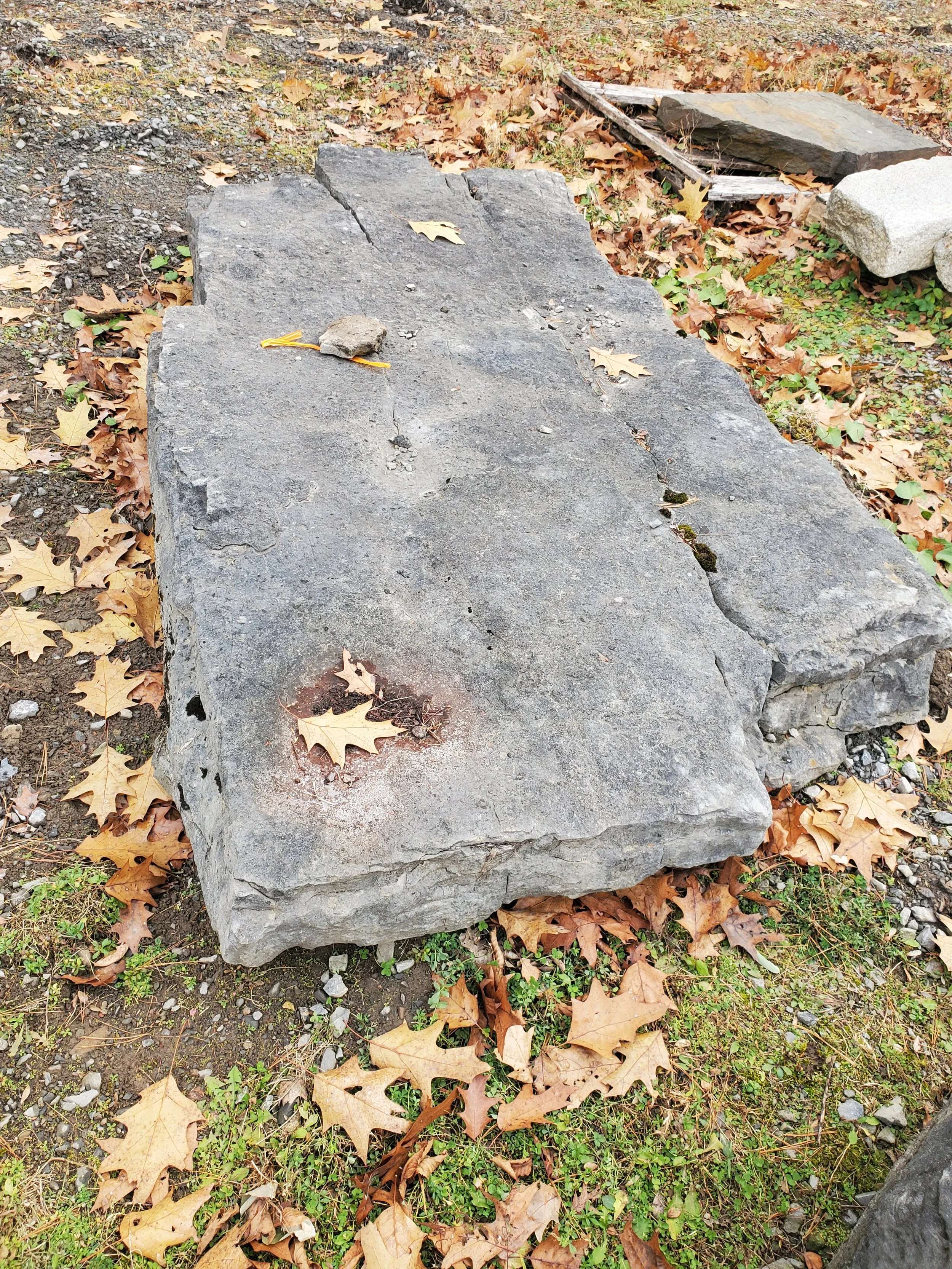 Large flat rock surface outdoors surrounded by fallen autumn leaves