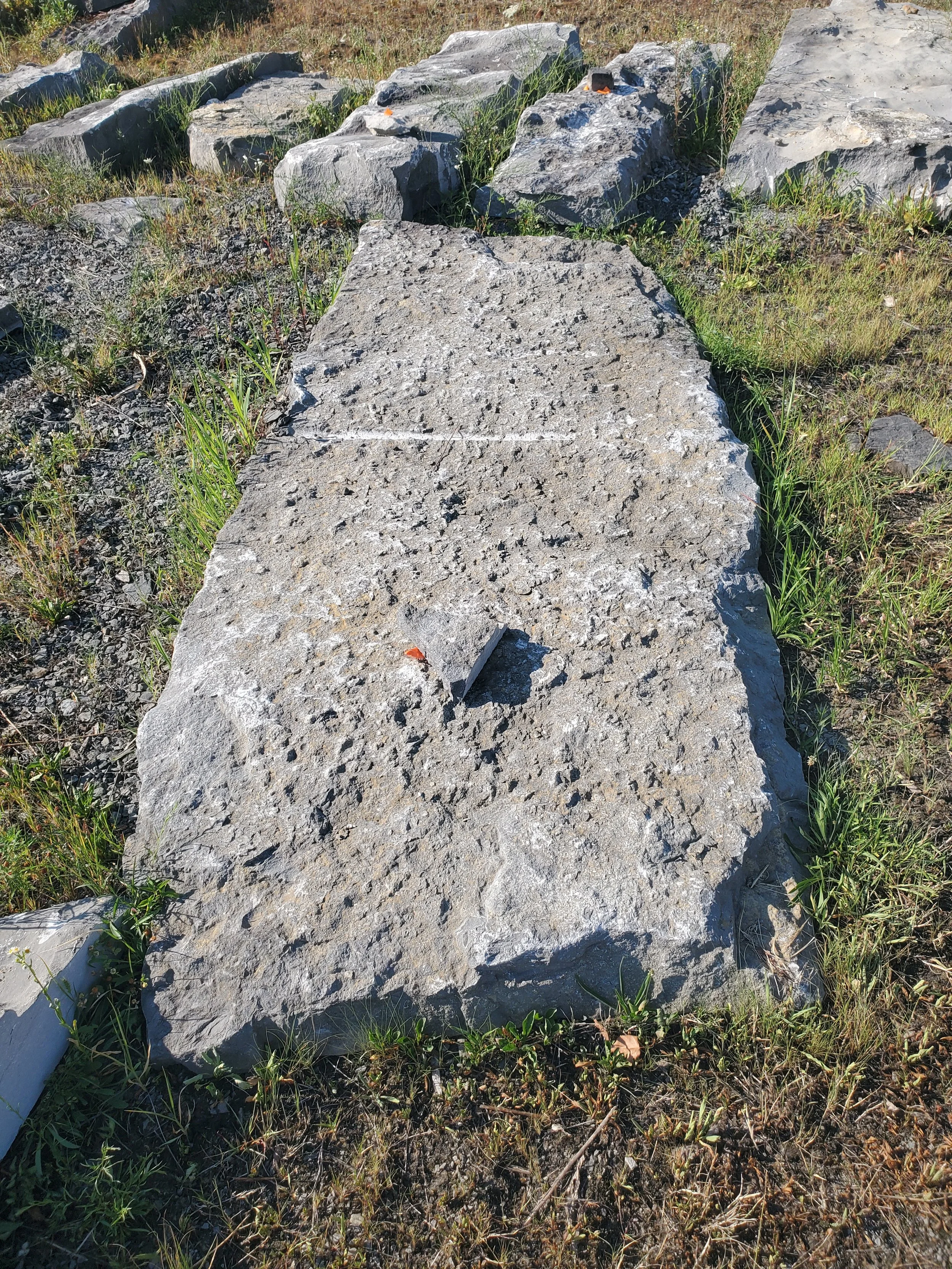 Large rectangular stone slab laid on the ground with rough textured surface, surrounded by grass and smaller stones in an outdoor setting.