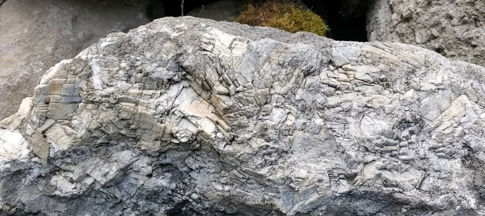 Close-up of a textured, gray rock with layered and cracked surface details.