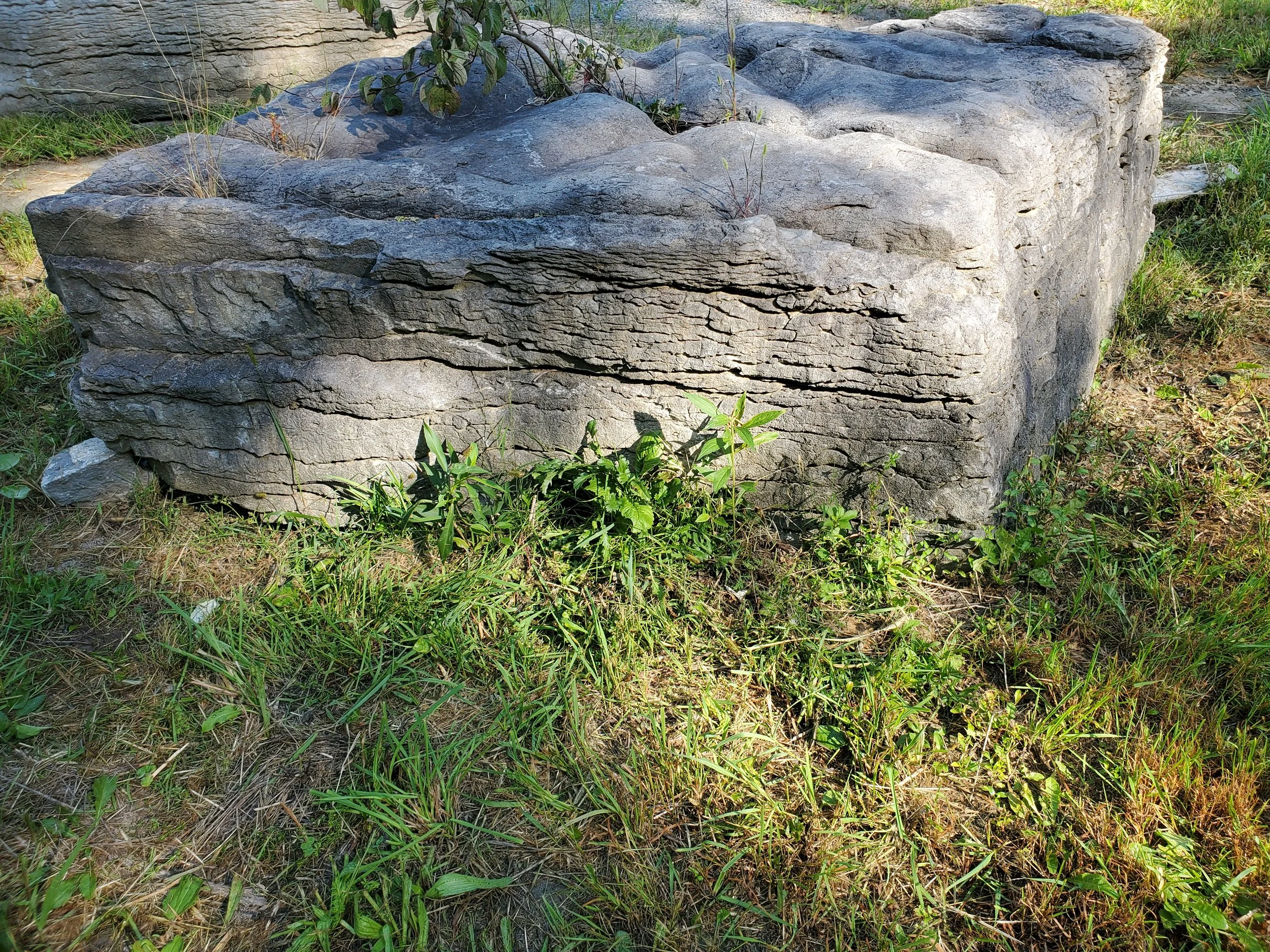 Large weathered gray stone with visible cracks, surrounded by green grass and small plants.