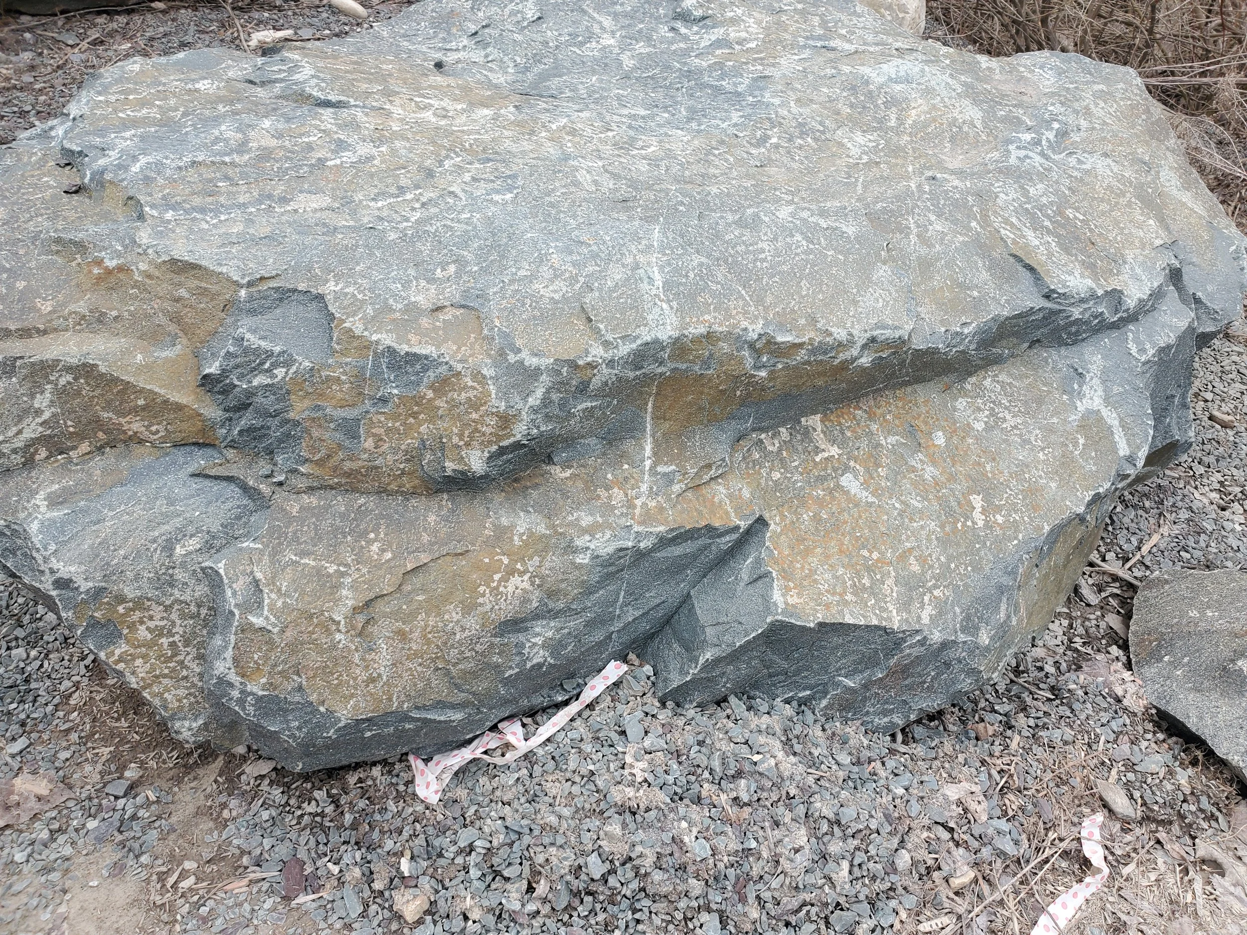 Large gray rock on dirt ground with small rocks and dried leaves around it.