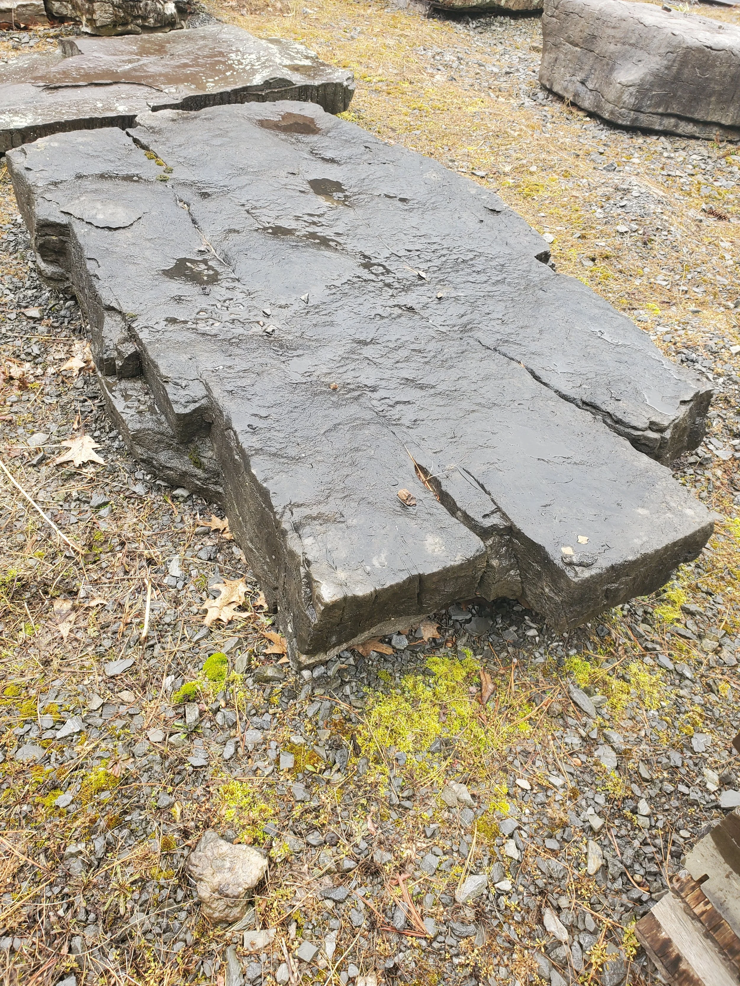 Large flat black rock with rough surface, lying on gravel and surrounded by small plants.