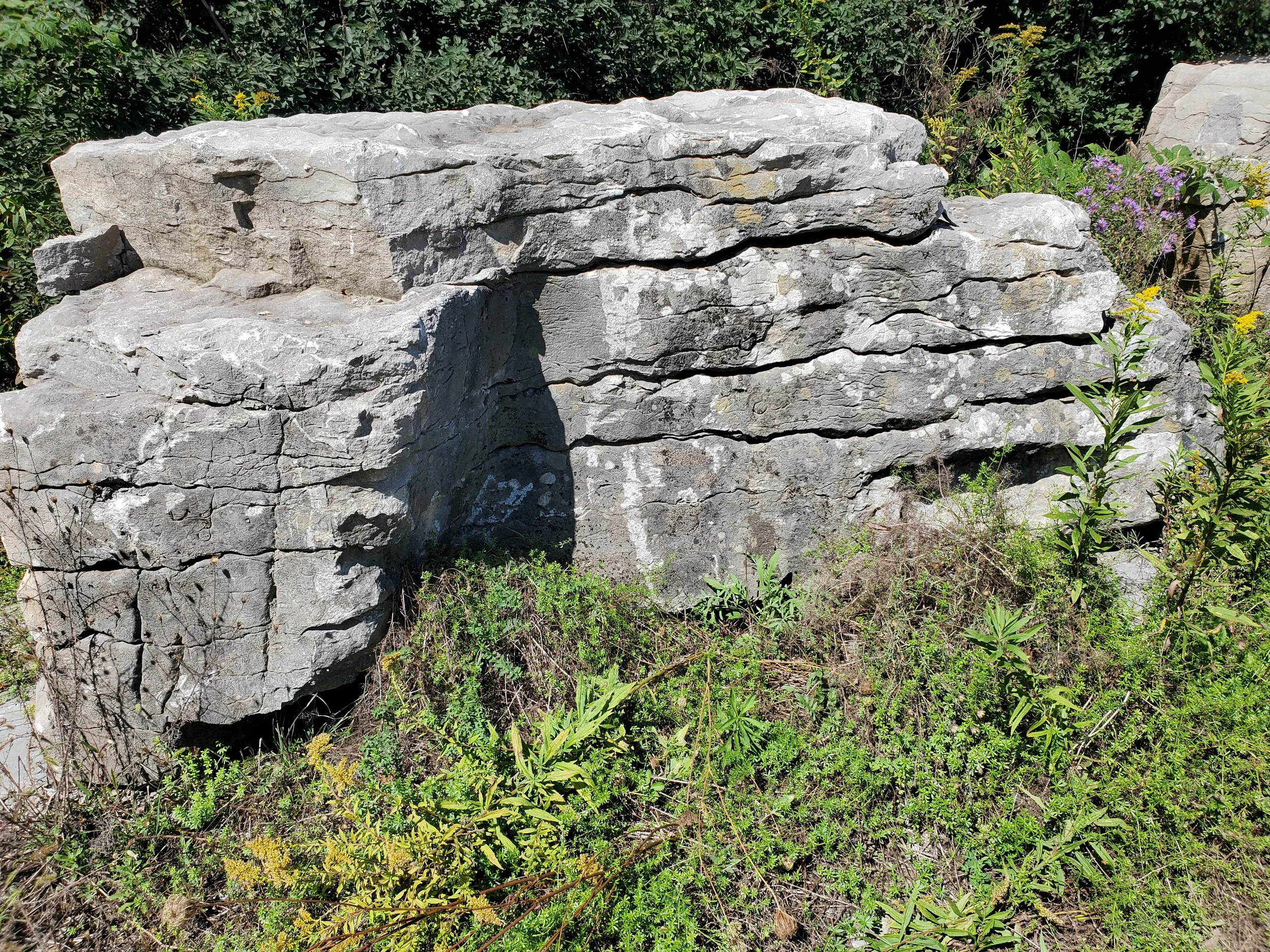 A large gray stone with layered, weathered texture surrounded by green plants and small flowering bushes in an outdoor setting.