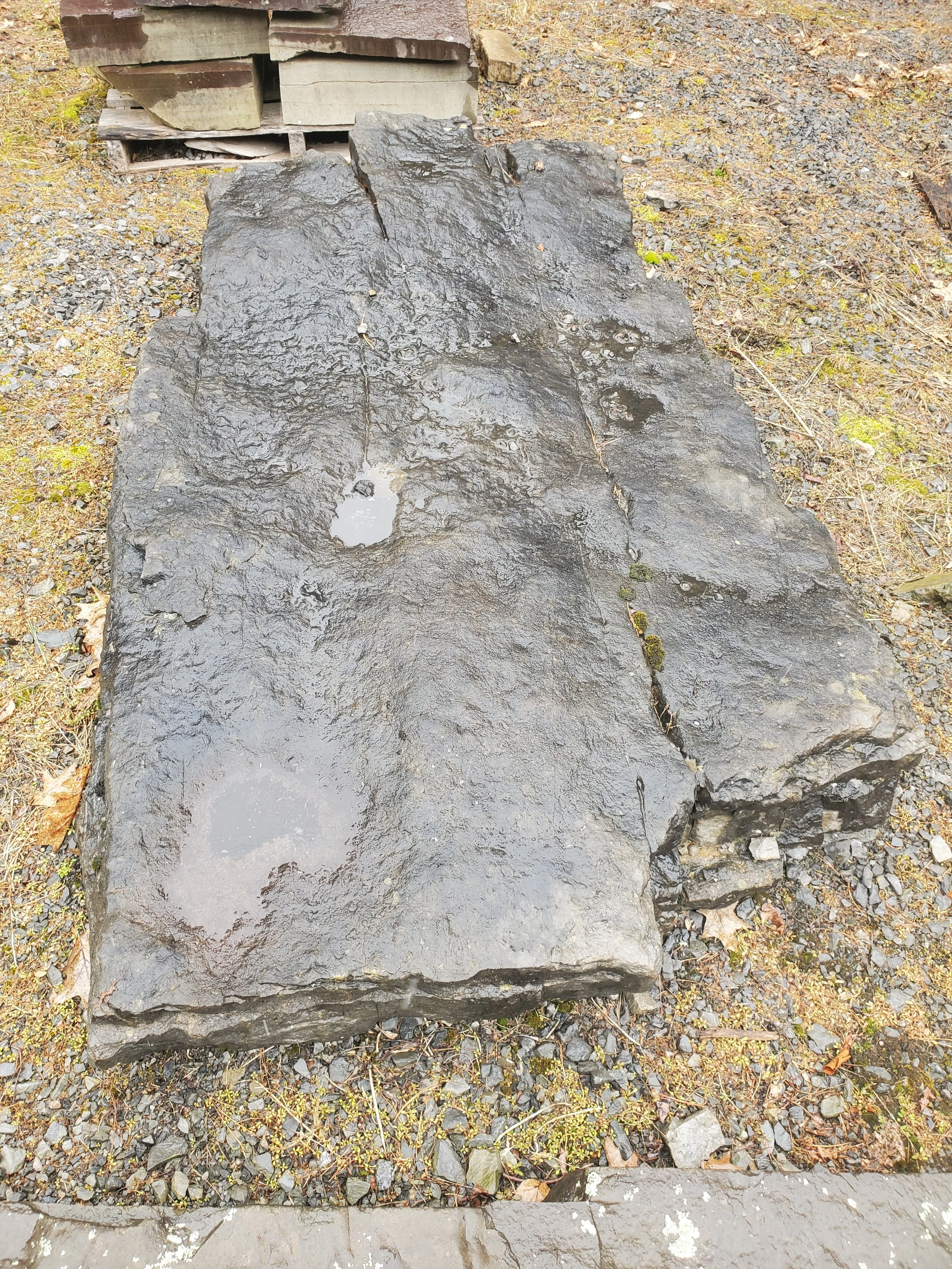 Large wet black stone with water puddles, on gravel ground.