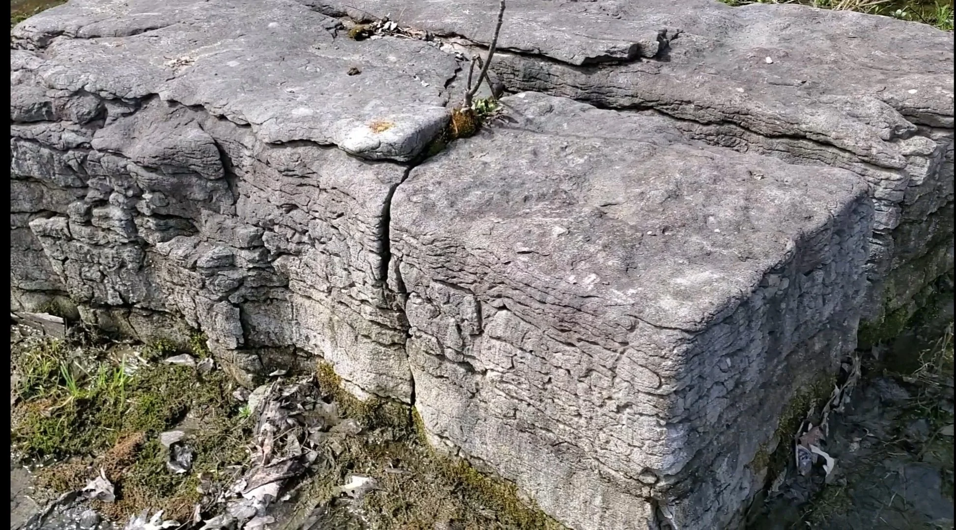 Close-up of a large, weathered stone brick with rough texture and cracks, surrounded by small plants and moss.