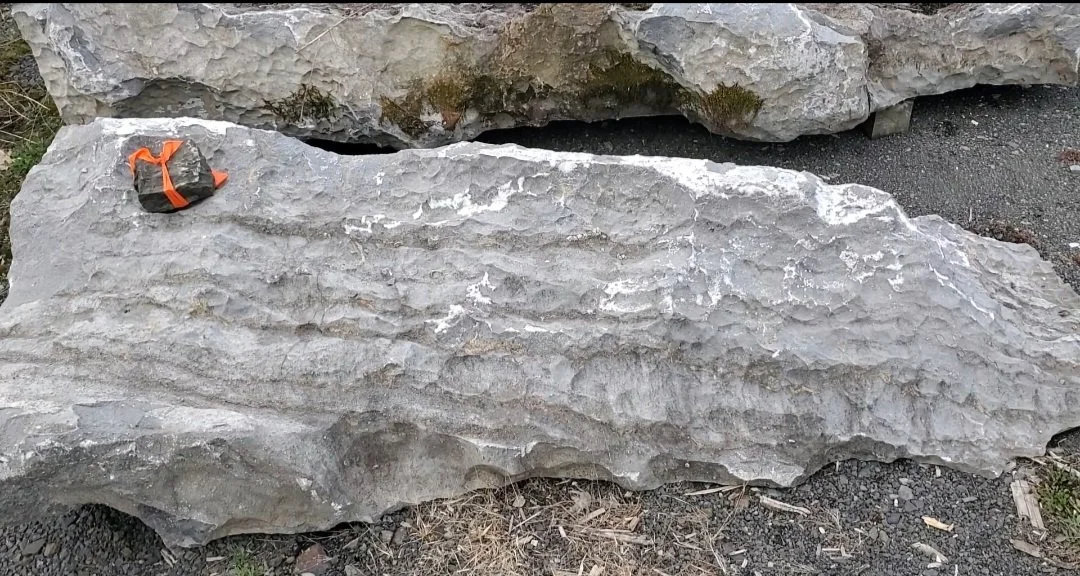 Large gray boulder with an orange and black climbing harness on top, situated outdoors on uneven terrain with smaller rocks and sparse vegetation.
