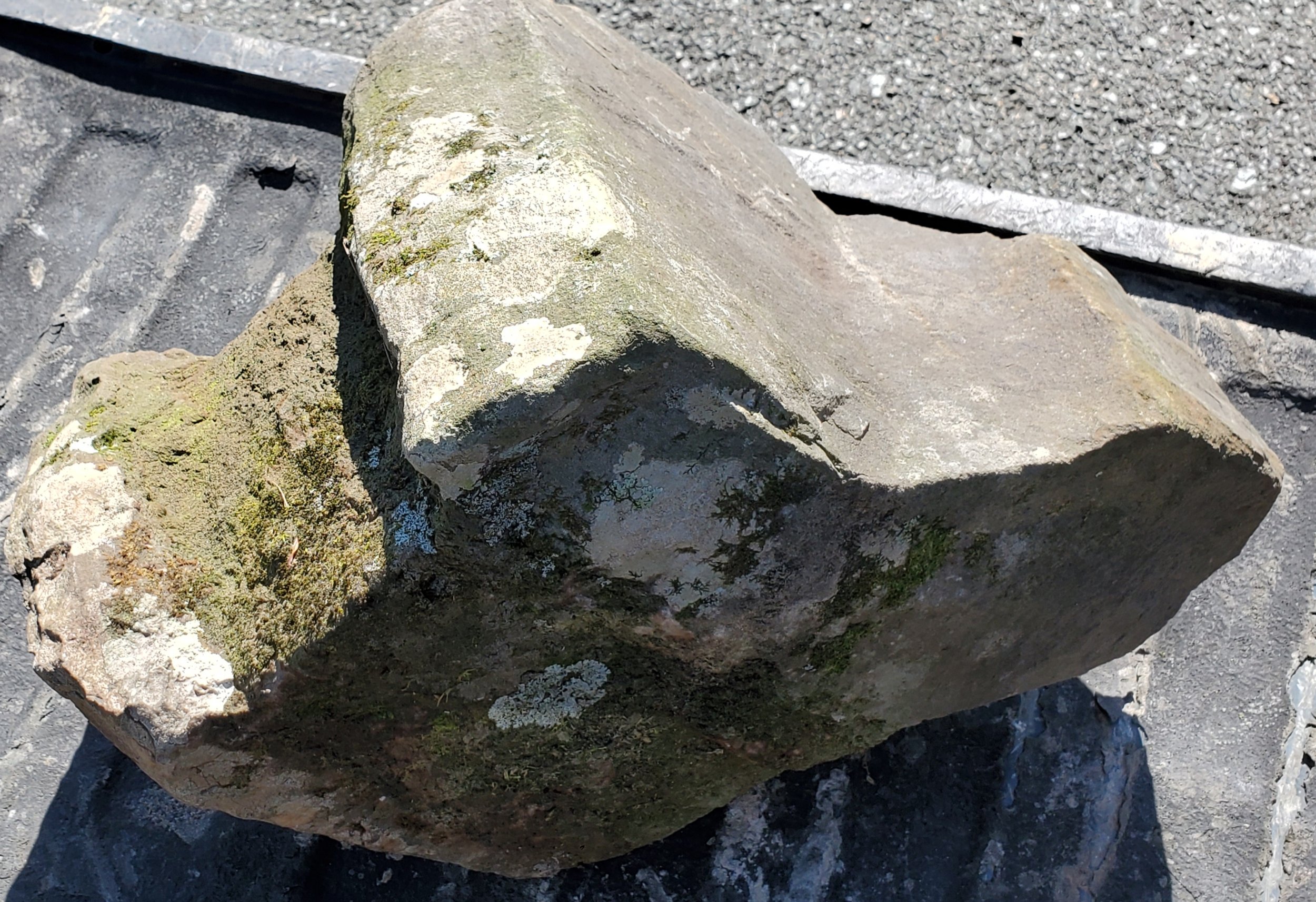 A large irregularly shaped rock with moss and lichen growth on it, resting on a surface with other rocks and gravel visible around it.