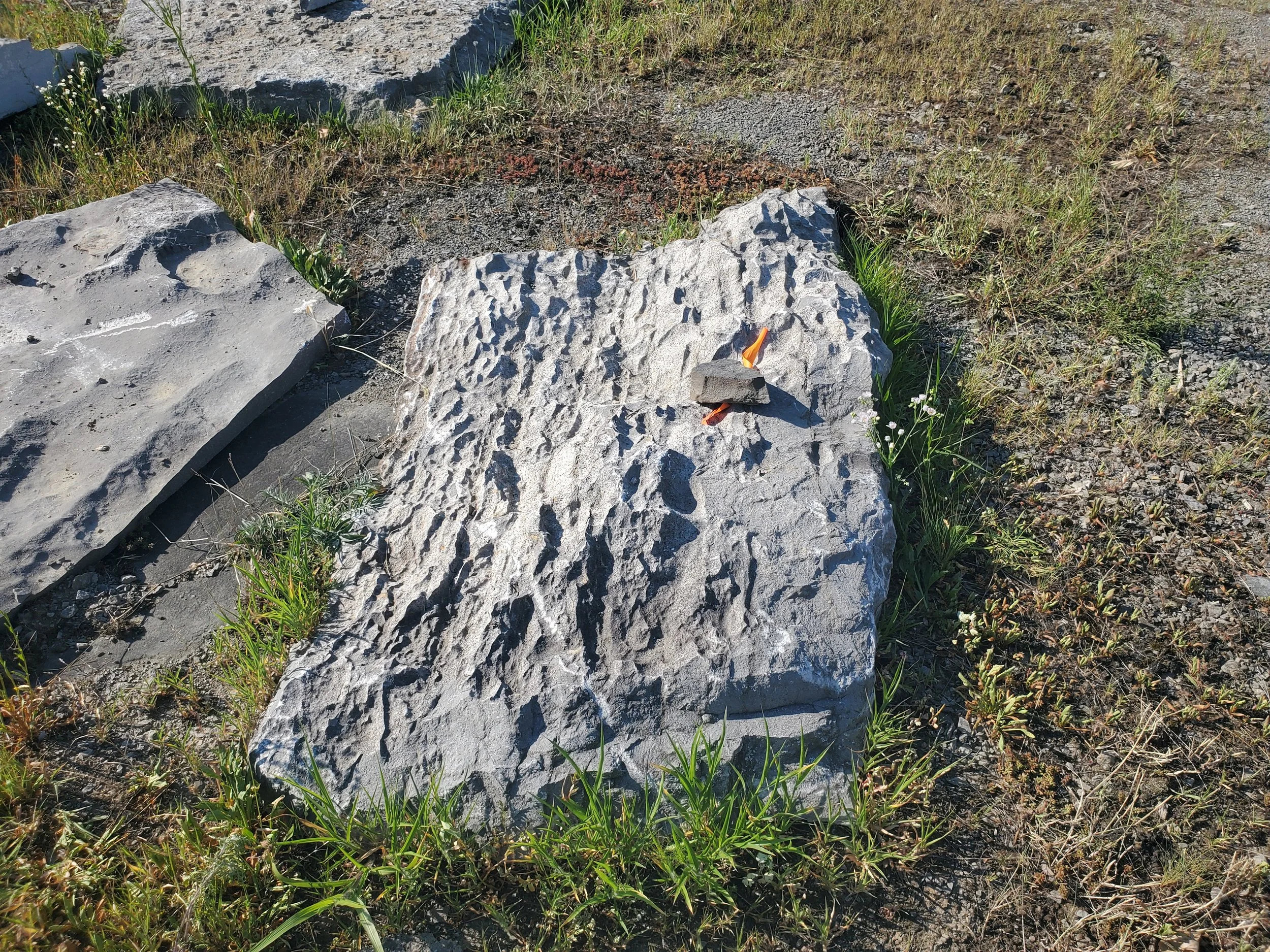 A large, rough quartzite rock with a small stone on top, secured with orange tape, situated on a patch of ground with sparse grass and weeds.