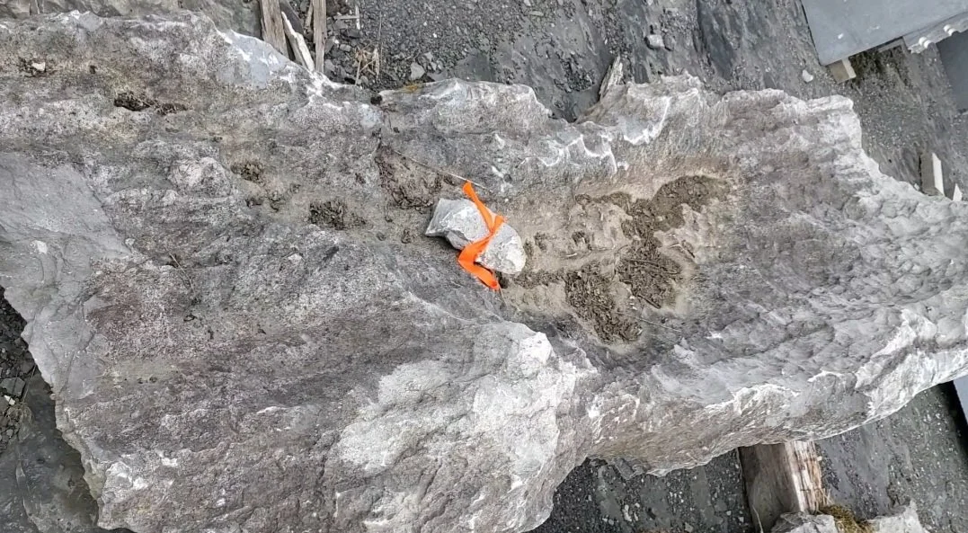 Large gray and white natural rock formation outdoors, with orange ribbon tied to a piece of rock on the top.