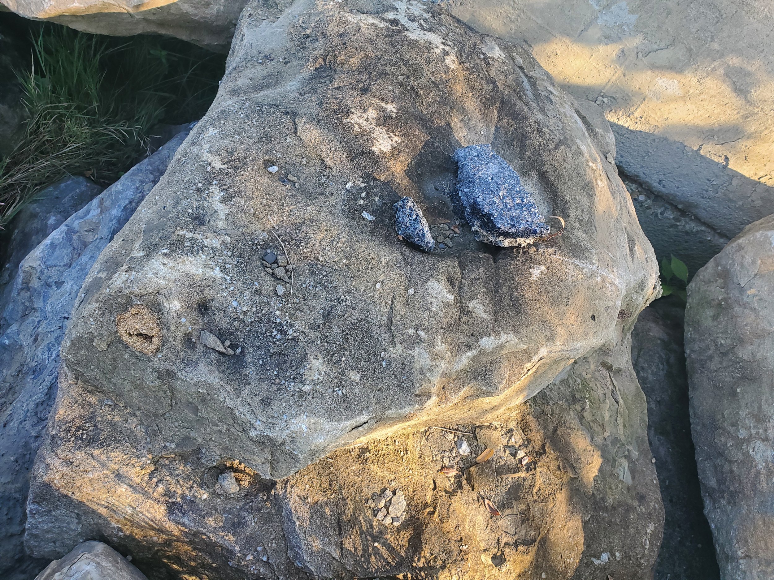 Two dark, shiny, irregularly shaped rocks on a large, light brown rock surface outdoors, with some greenery and other rocks nearby.