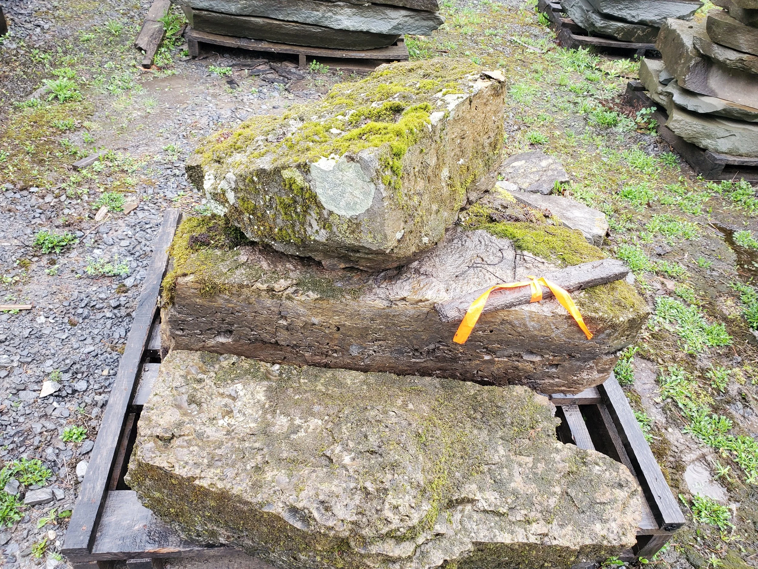 Three large moss-covered rocks stacked on a wooden pallet outdoors, with moss and small plants growing around.