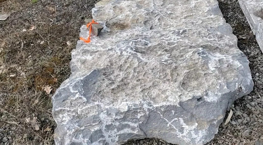 Large flat rock with rough, textured surface and some white markings, situated outdoors on dirt and surrounded by dried grass