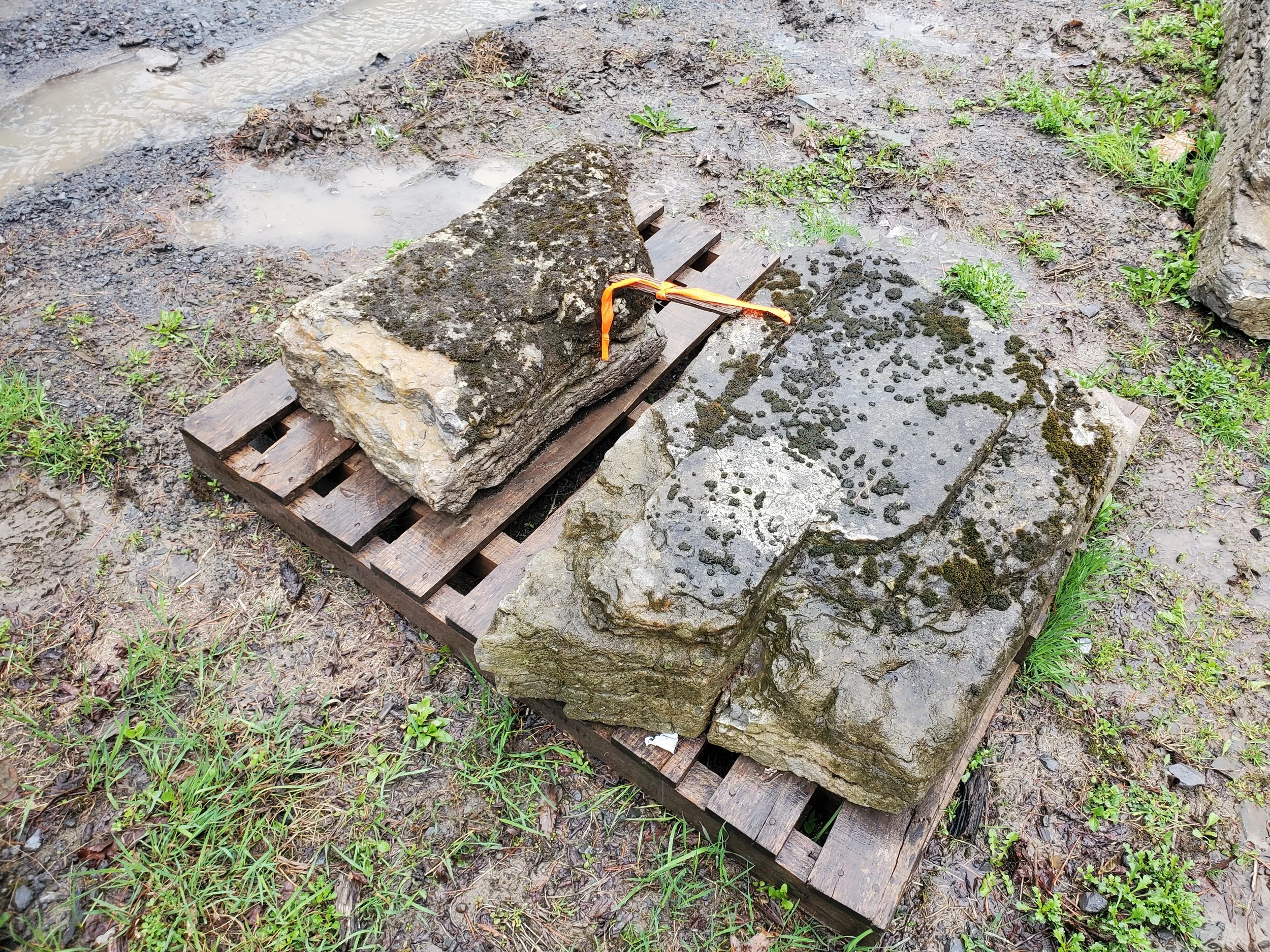 Two large moss-covered stones placed on a wooden pallet outdoors on muddy ground with small green plants; some water and a small puddle are visible nearby.
