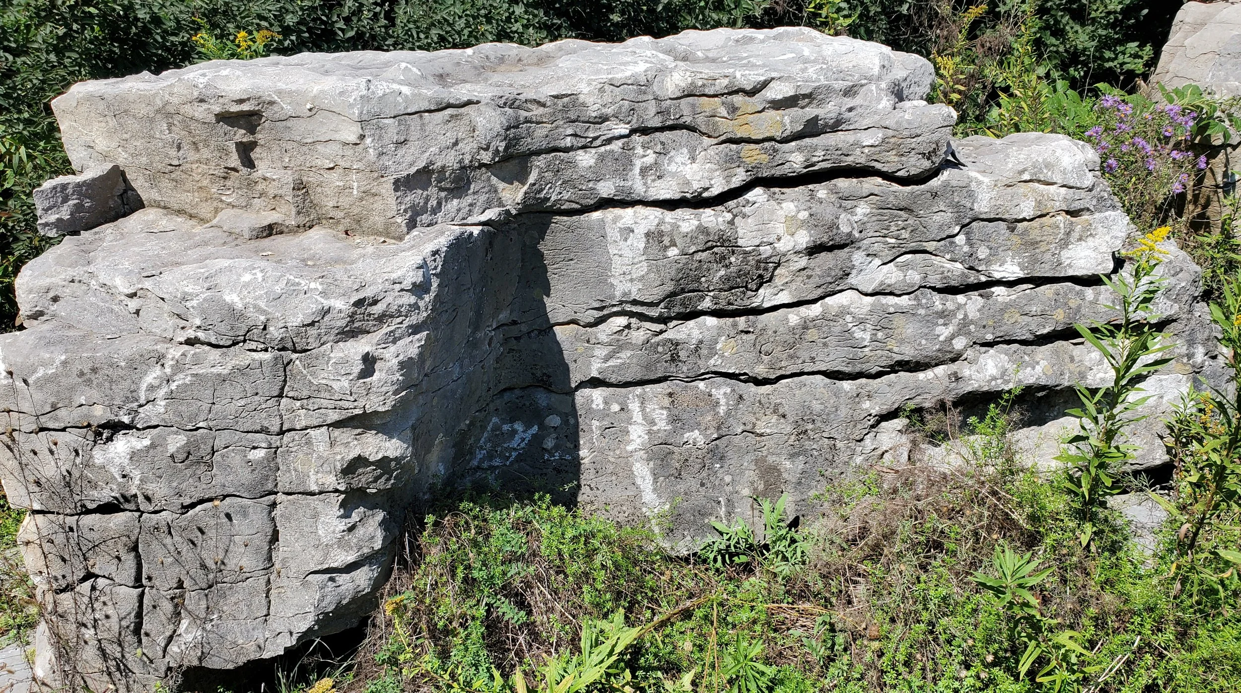 Pond Construction Stone-New York (98).jpg