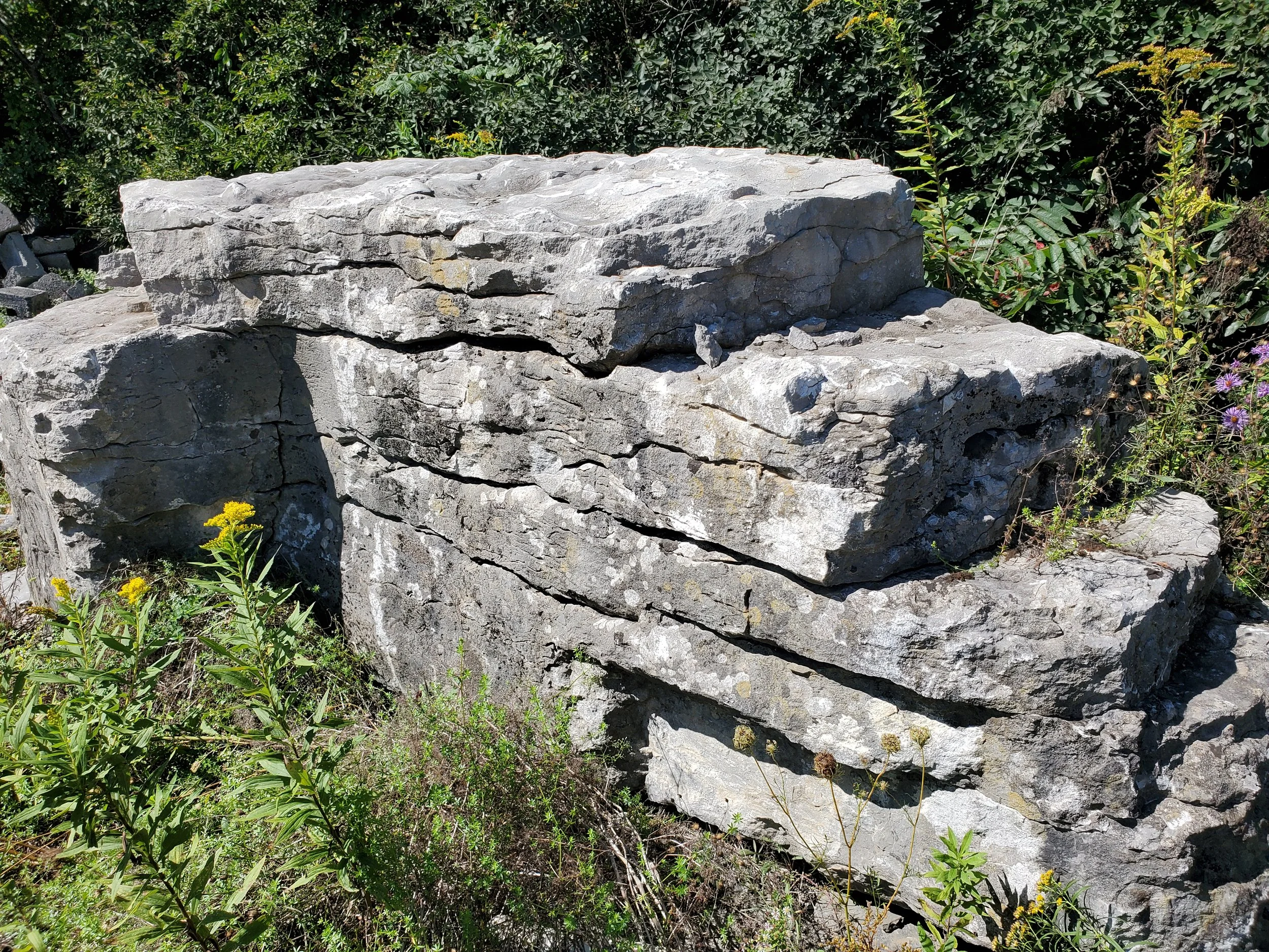 Large gray layered rocks surrounded by green plants and small yellow, purple, and pink flowers