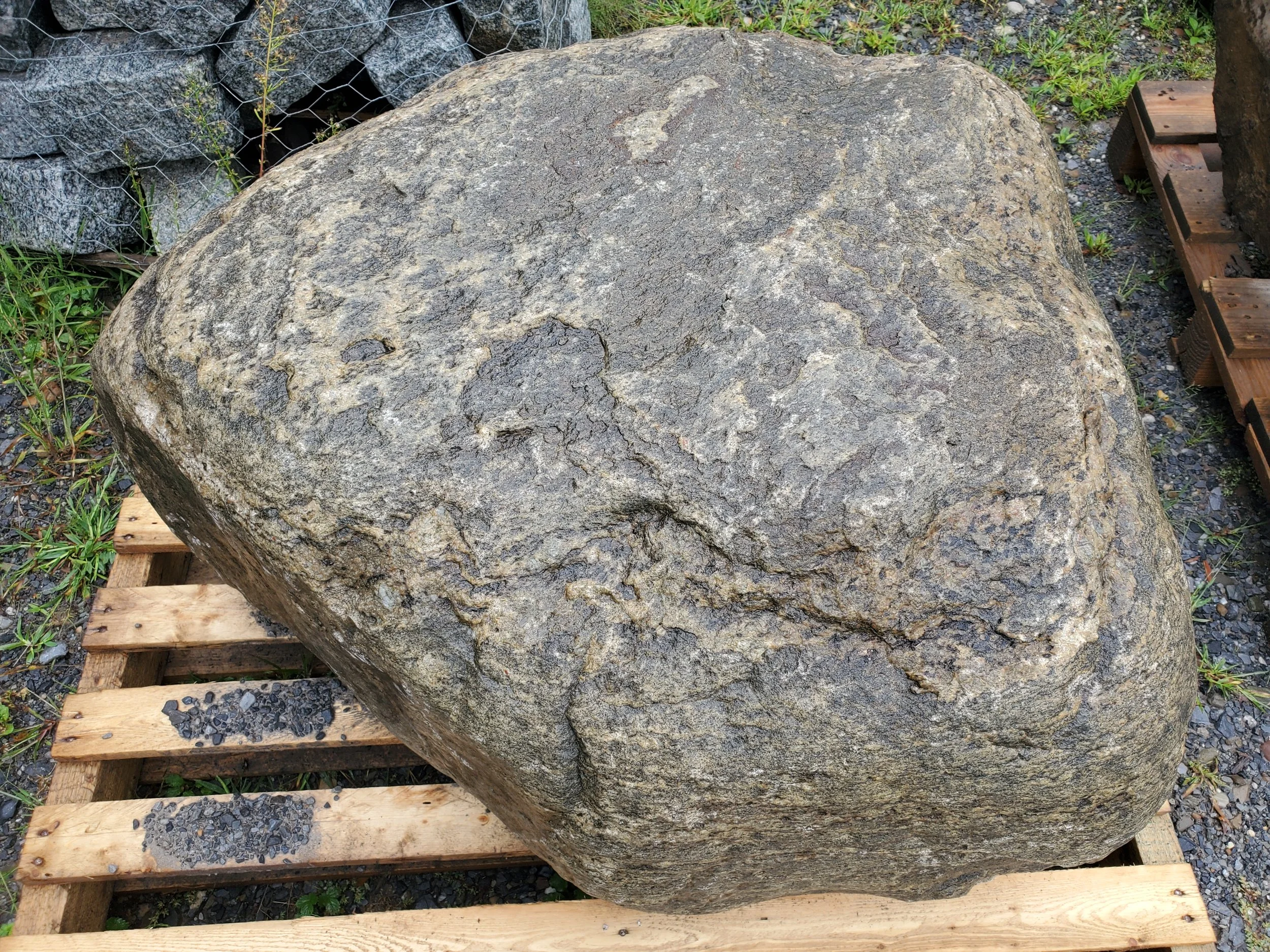 Large, rough, grayish-brown boulder on a wooden pallet outdoors.