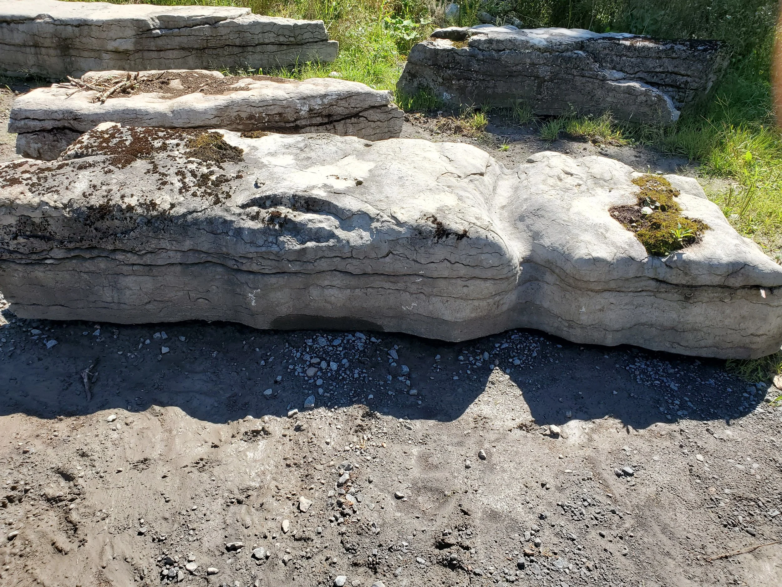 Large layered gray rocks on a patch of dirt with some yellowish-green moss and grass nearby.