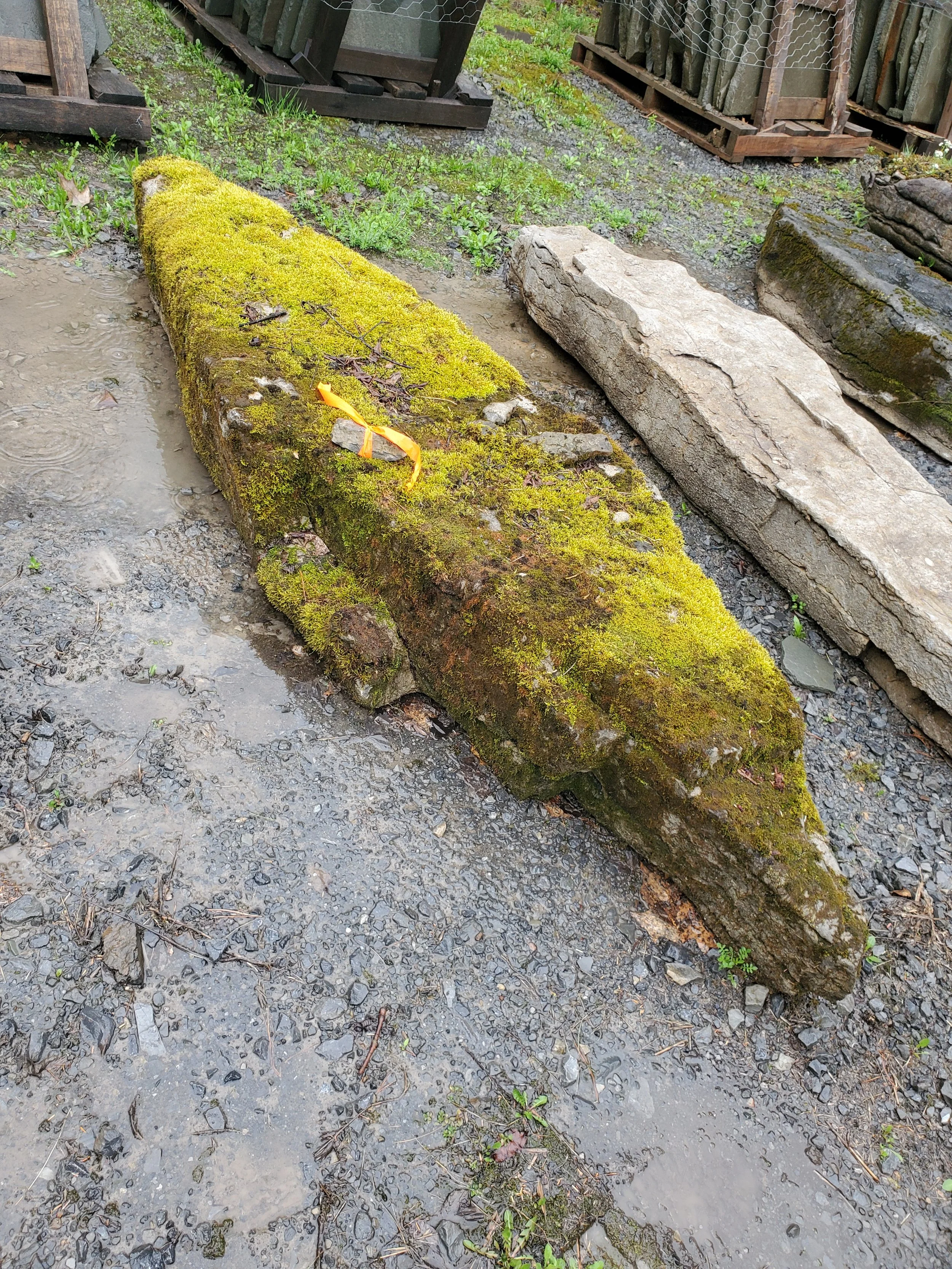 Large moss-covered stone or ancient artifact lying on the ground next to other large stones and gravel, with wooden pallets or fencing in the background.