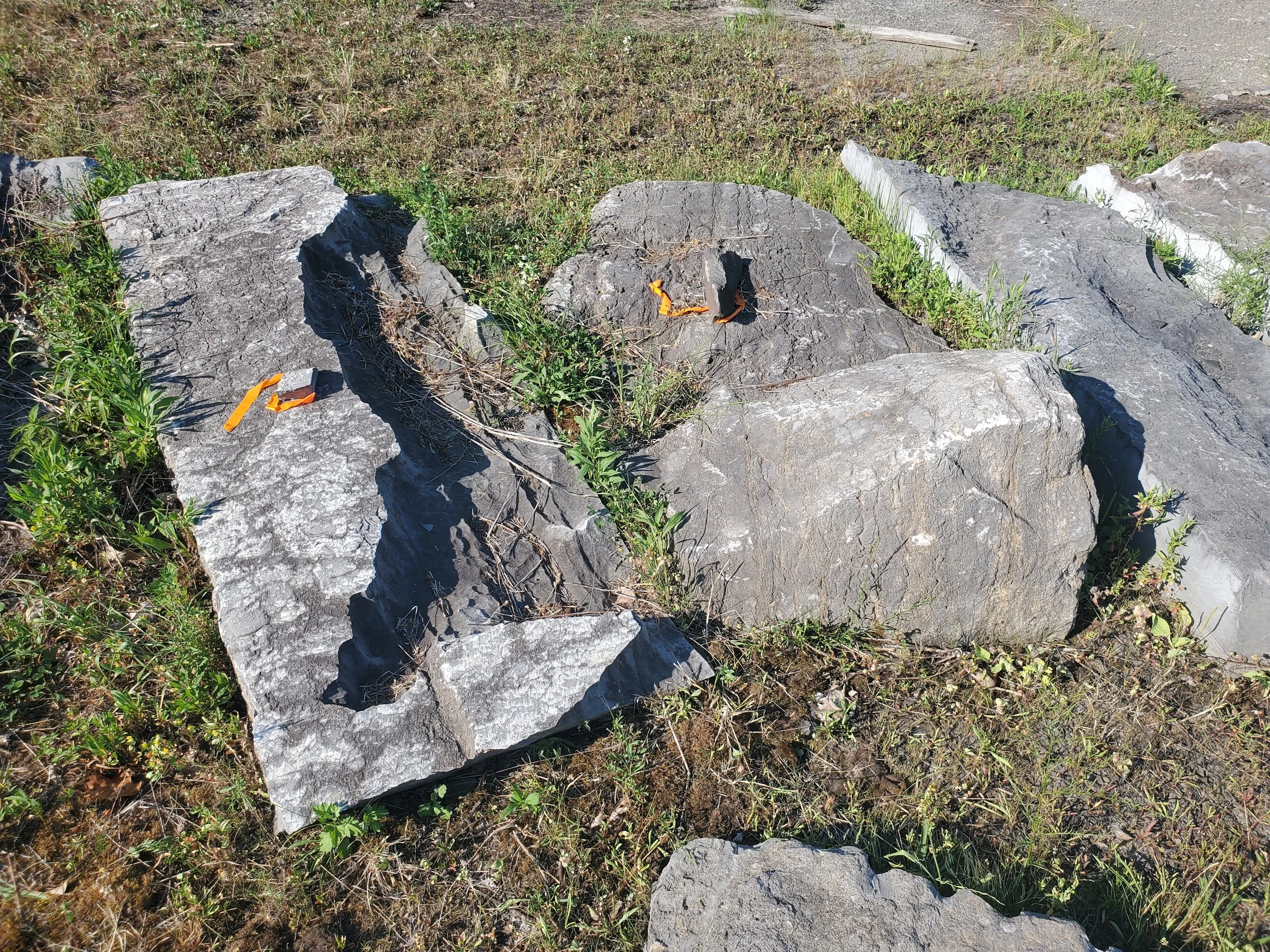 Large rocks on the ground with green grass and weeds growing around them, some small patches of dirt, and orange markers or flags attached to some of the rocks.