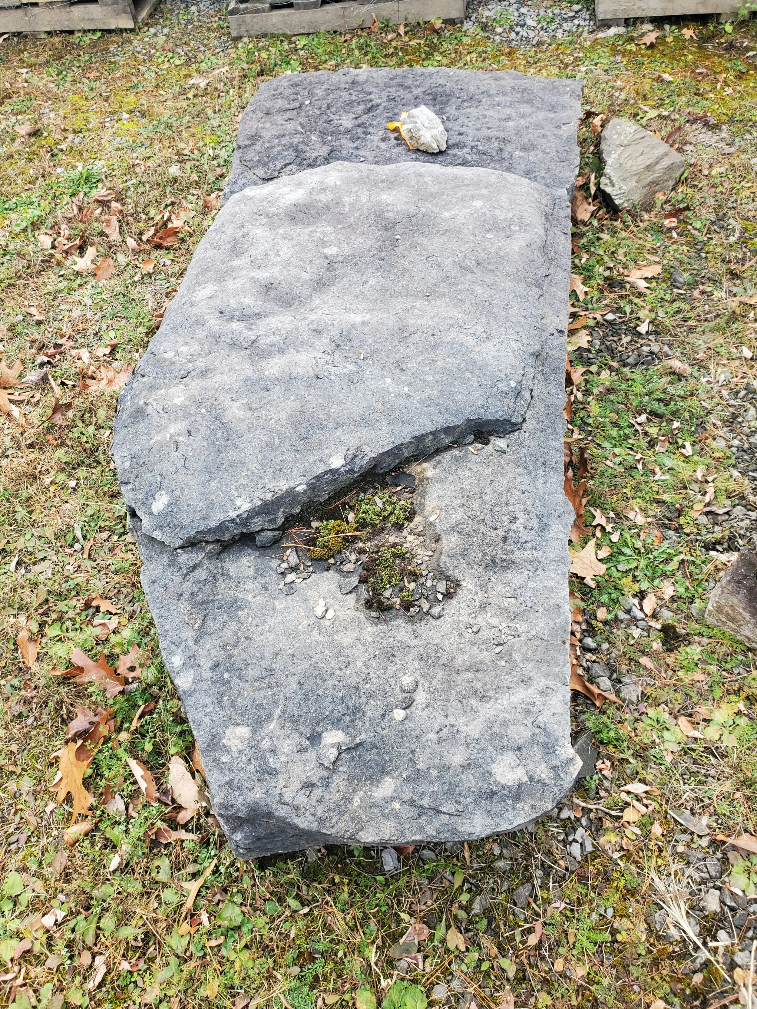 Large flat stone outside on grass with rocks, leaves, and moss around it.