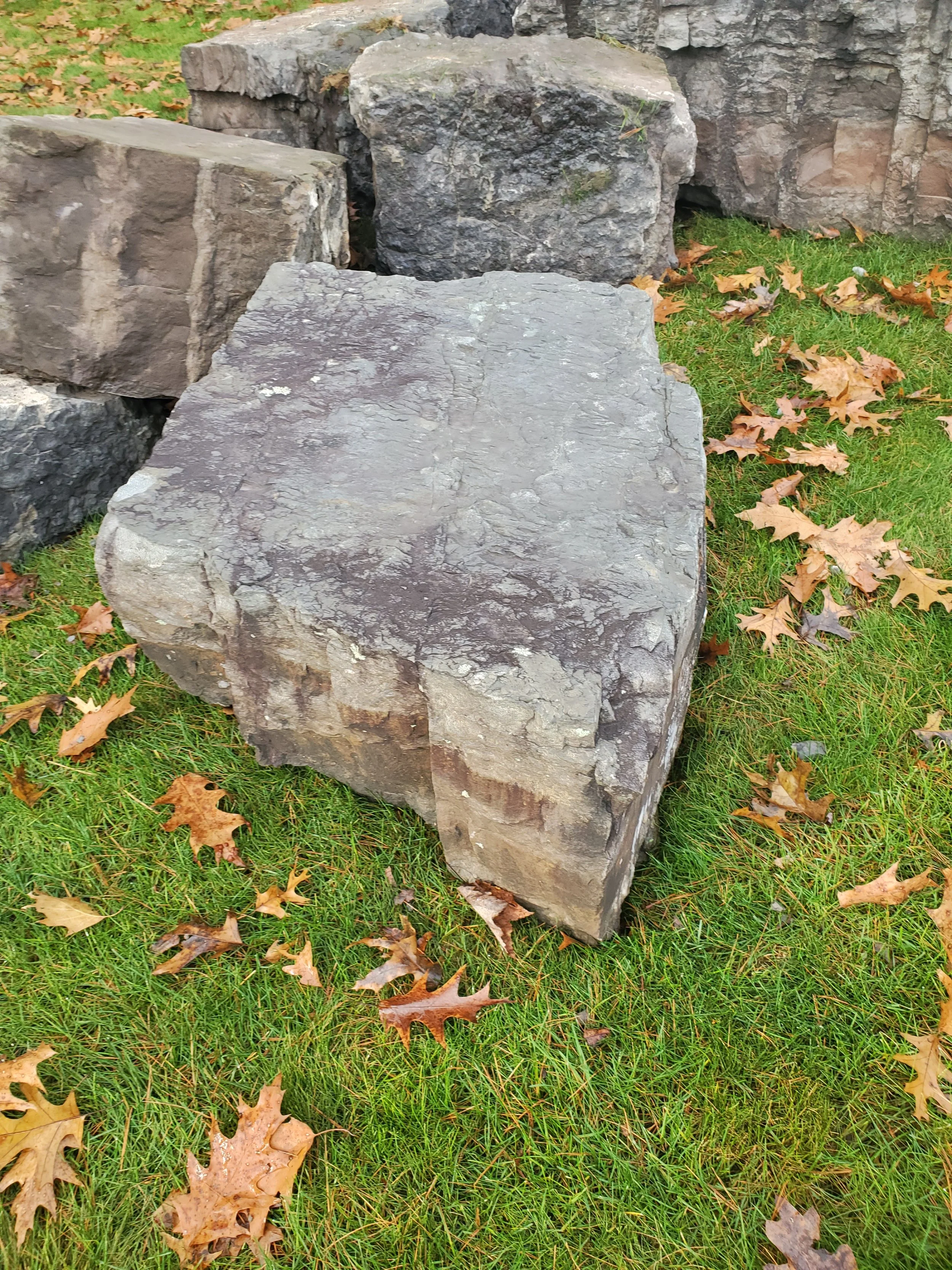 Large weathered gray stone surrounded by fallen autumn leaves on green grass, with other stones in the background.