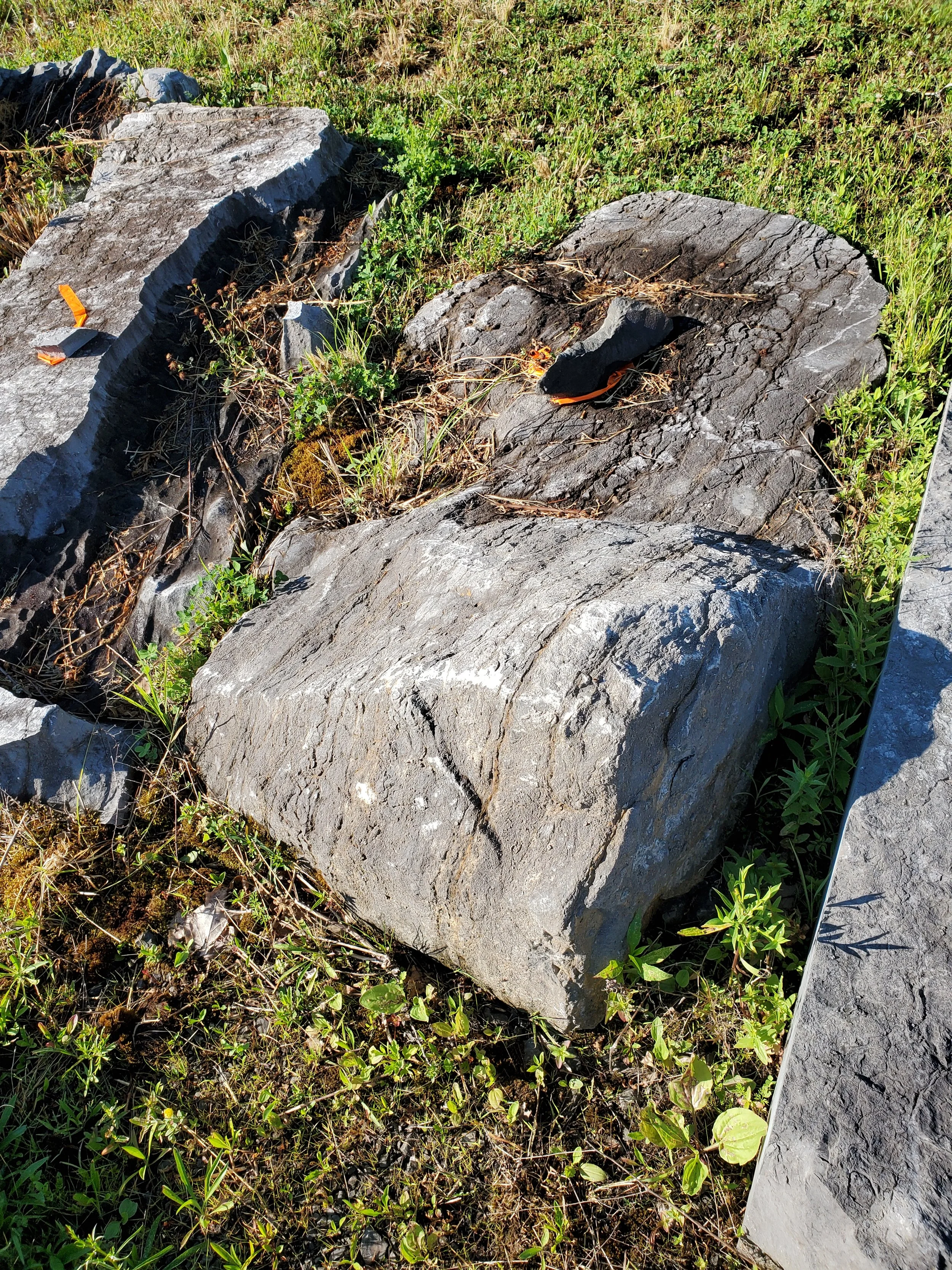 Large gray rock with a carved U-shaped groove, surrounded by green grass and smaller rocks, on a grassy outdoor area.