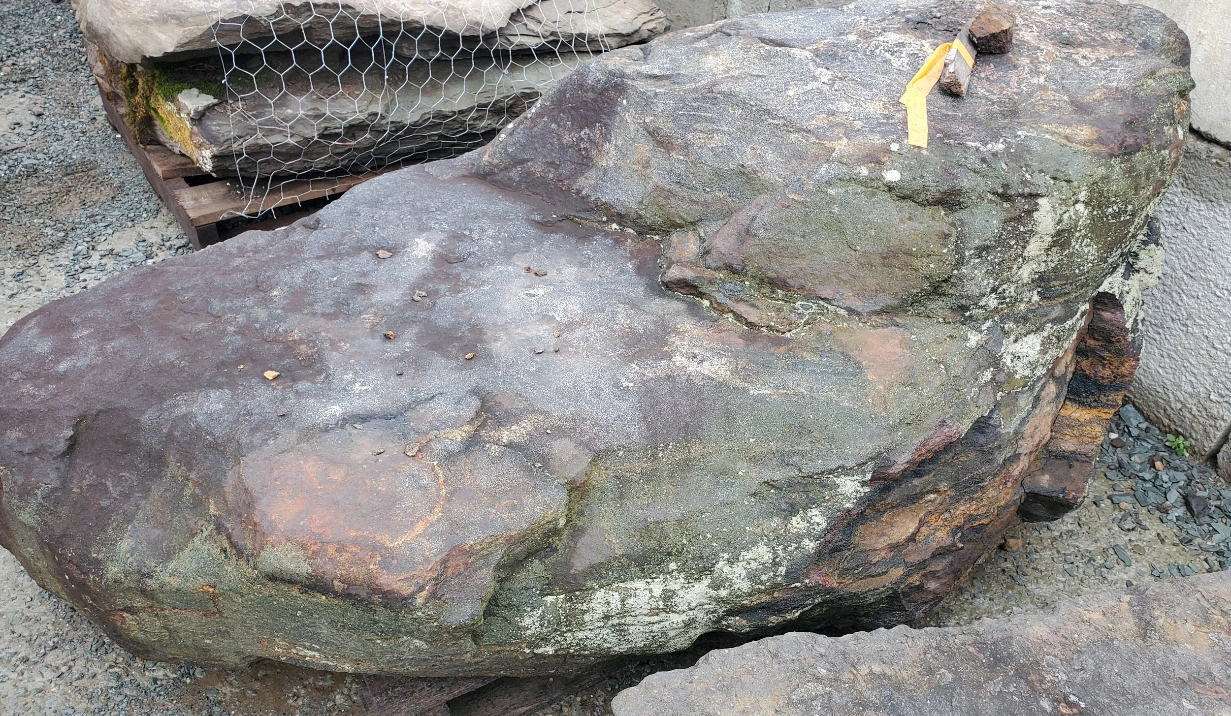Large, irregularly shaped rocks with weathered surfaces, one of which has a yellow tag attached. The rocks are situated outdoors among gravel and other natural stones.