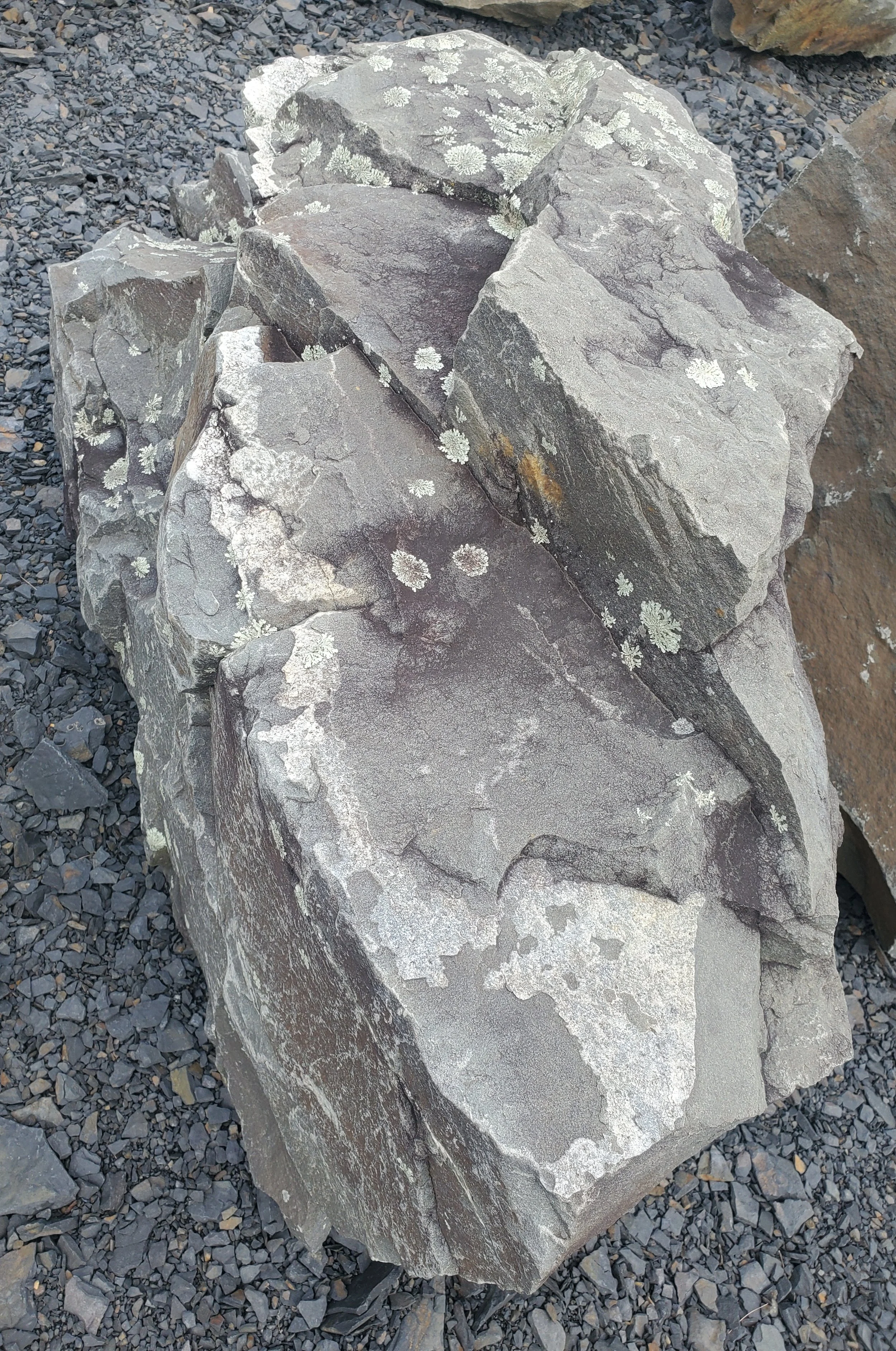 Large grey rocks with white lichen growth on them, placed on gravel ground.