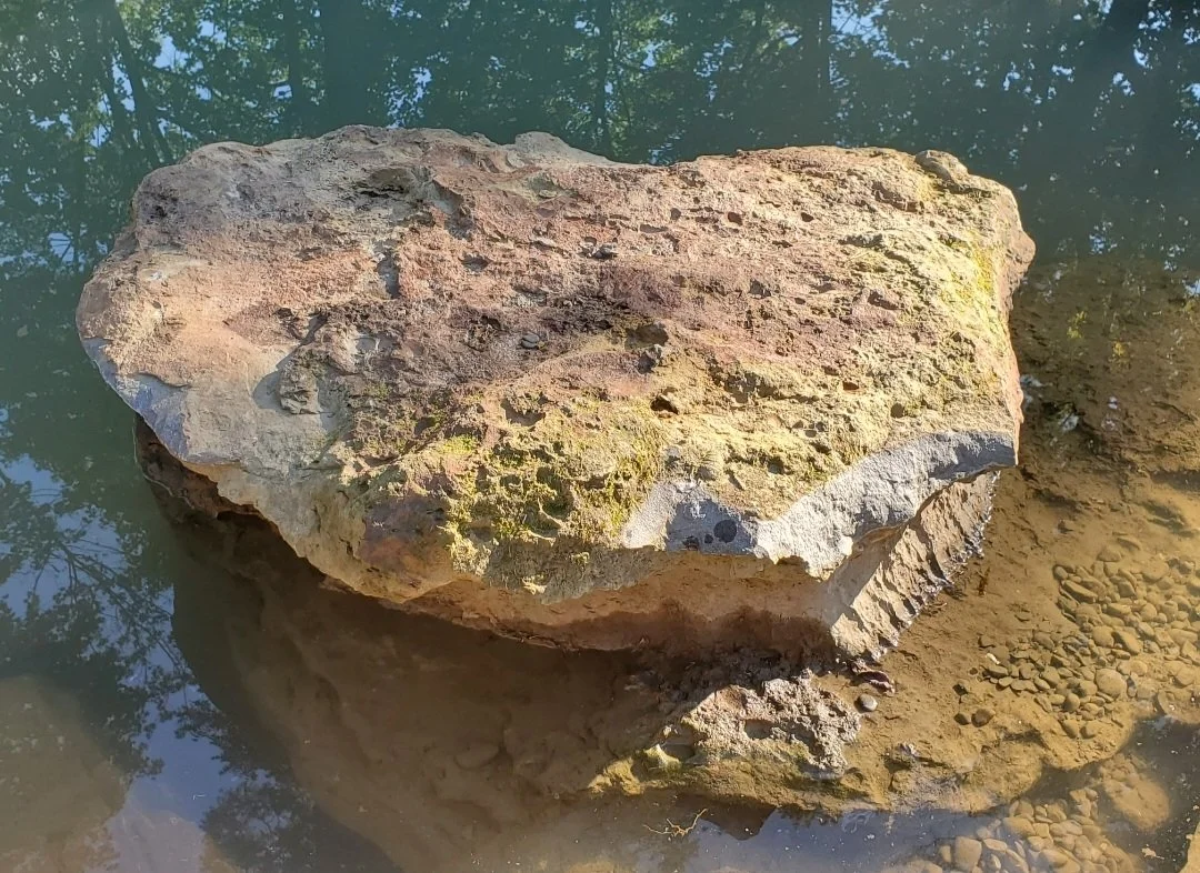 A large rock partially submerged in clear water, with the water reflecting trees above.