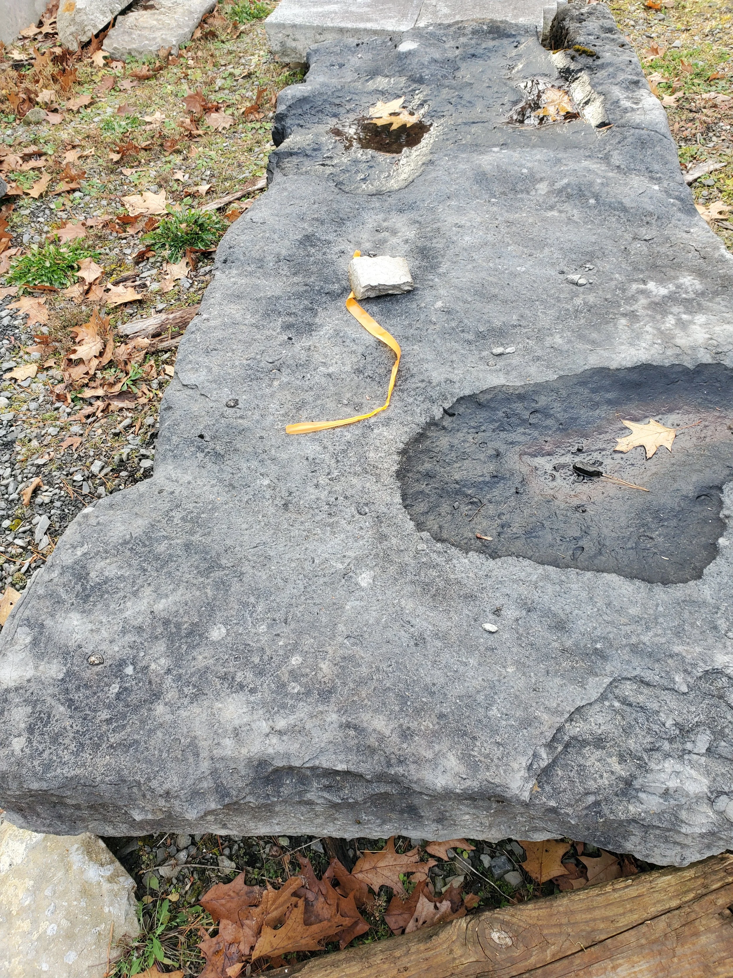 Pond build with lush vegetation and large stones in New York
