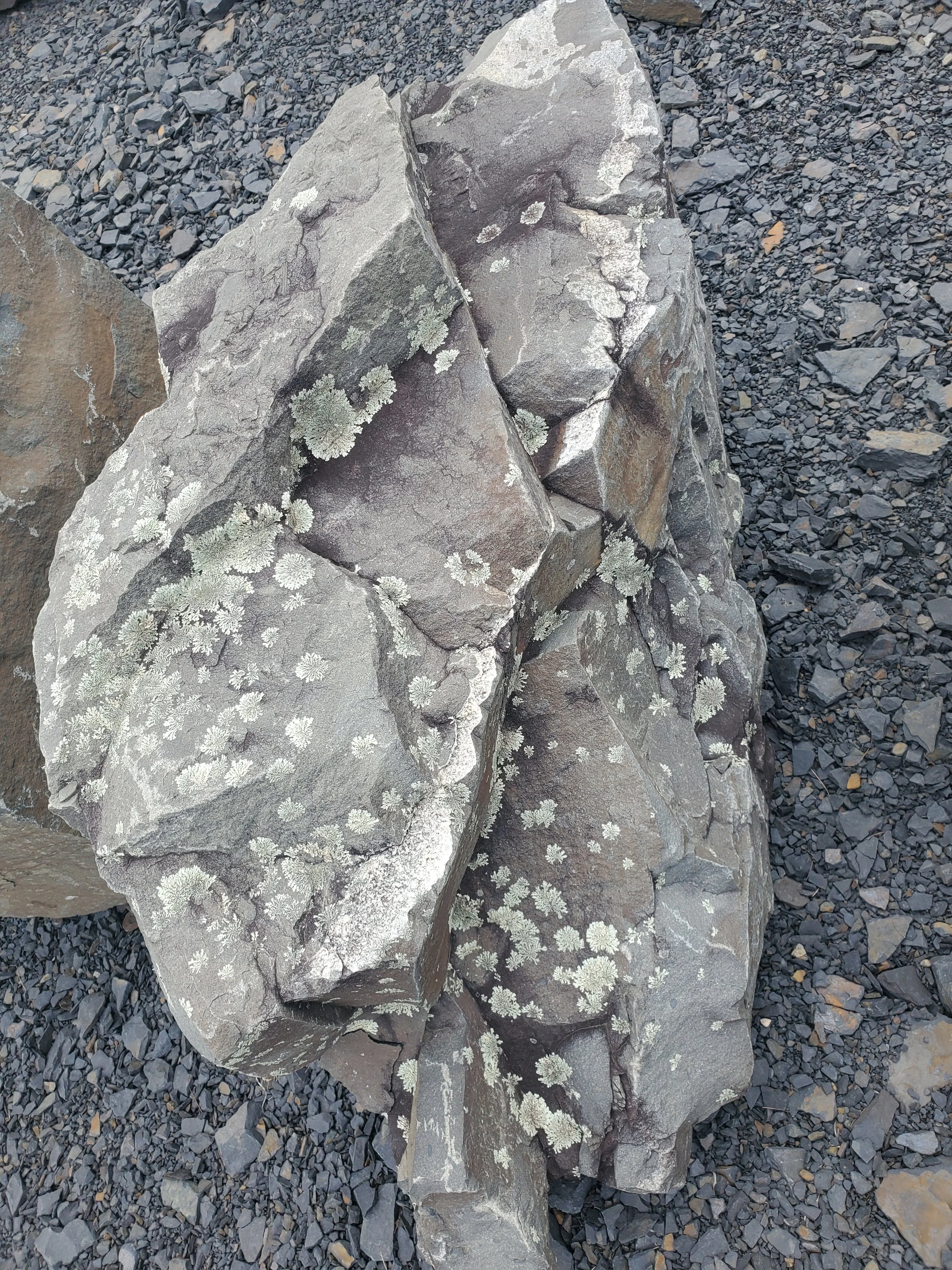 Rocks with lichen growing on their surface surrounded by smaller gravel.