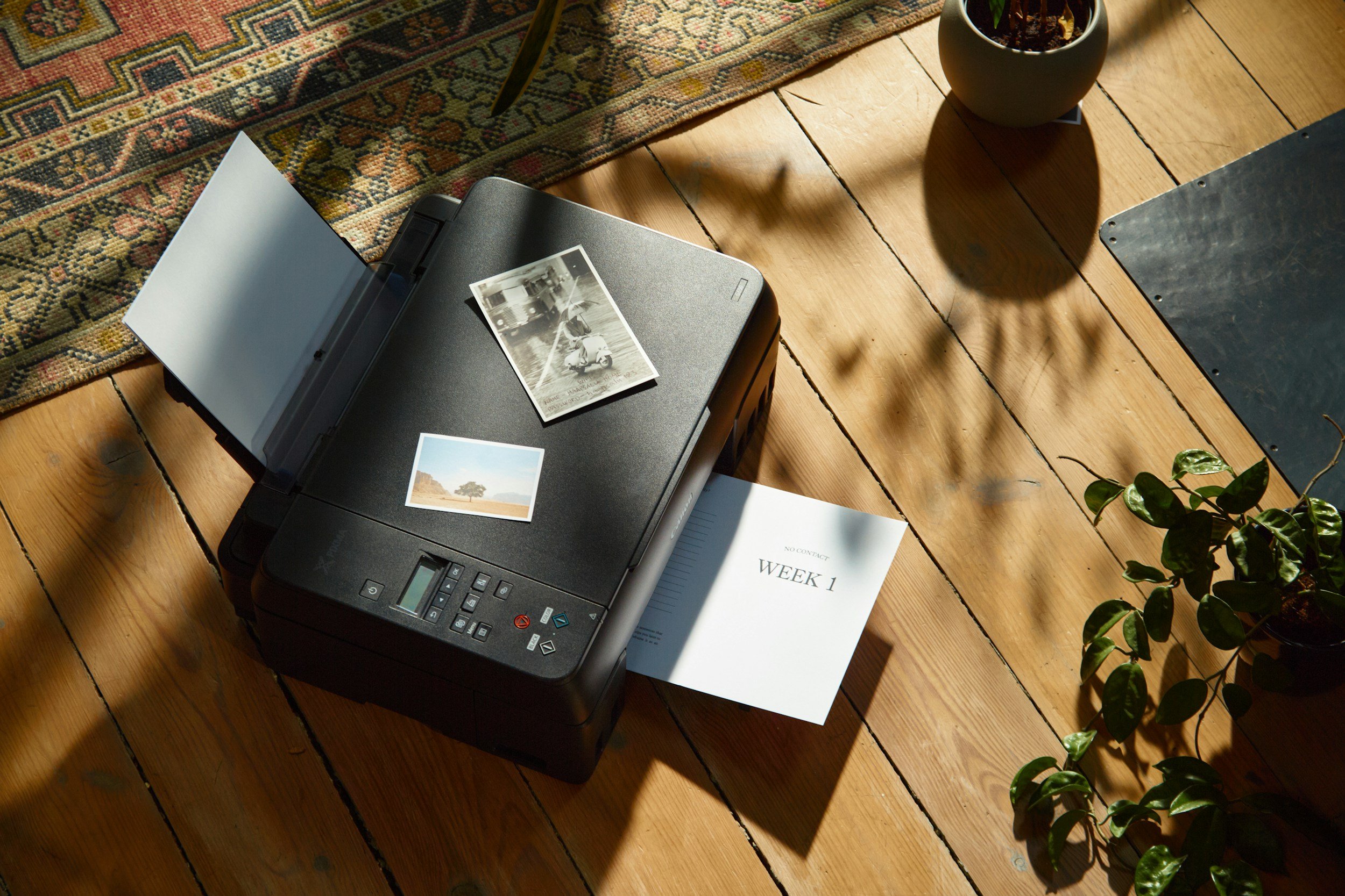 A printer on a wooden floor with photographs and a weekly planner labeled 'WEEK 1' nearby, alongside plants and a decorative rug.