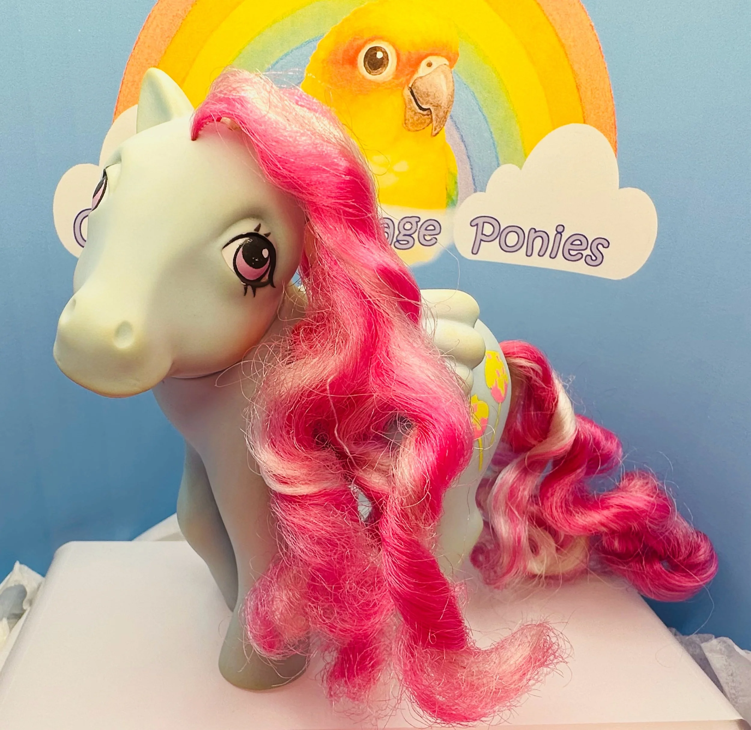 Sugar apple (Candy Cane pony)