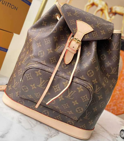 Louie Vuitton Back back .png