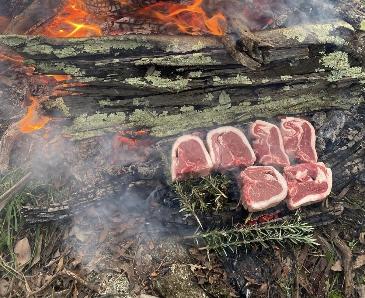 Four raw T-bone steaks placed on the ground near a campfire, with burning logs and flames visible, surrounded by natural outdoor elements like leaves and grass.