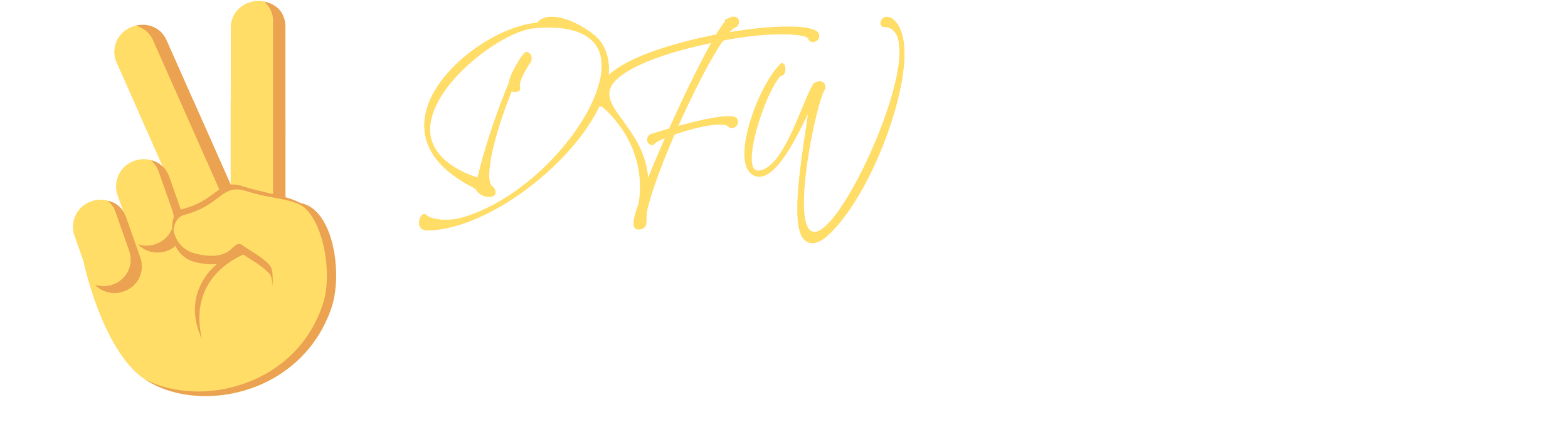 DFW Booths Logo White Version