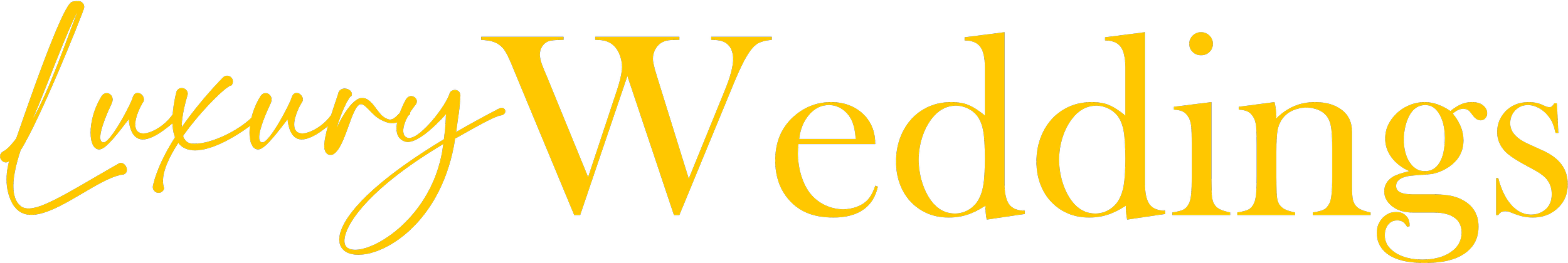 Luxury Wedding Booth Rentals in Dallas-Fort Worth wordmark for DFW Booths weddings page