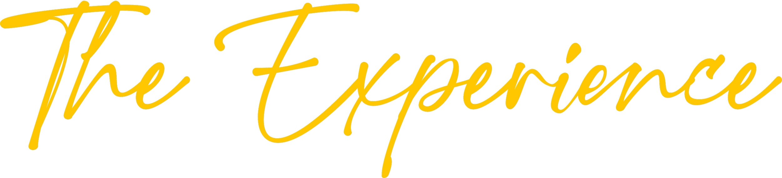 Stylized yellow script text reading “The Experience” , representing the DFW Booths featured events and stories section.