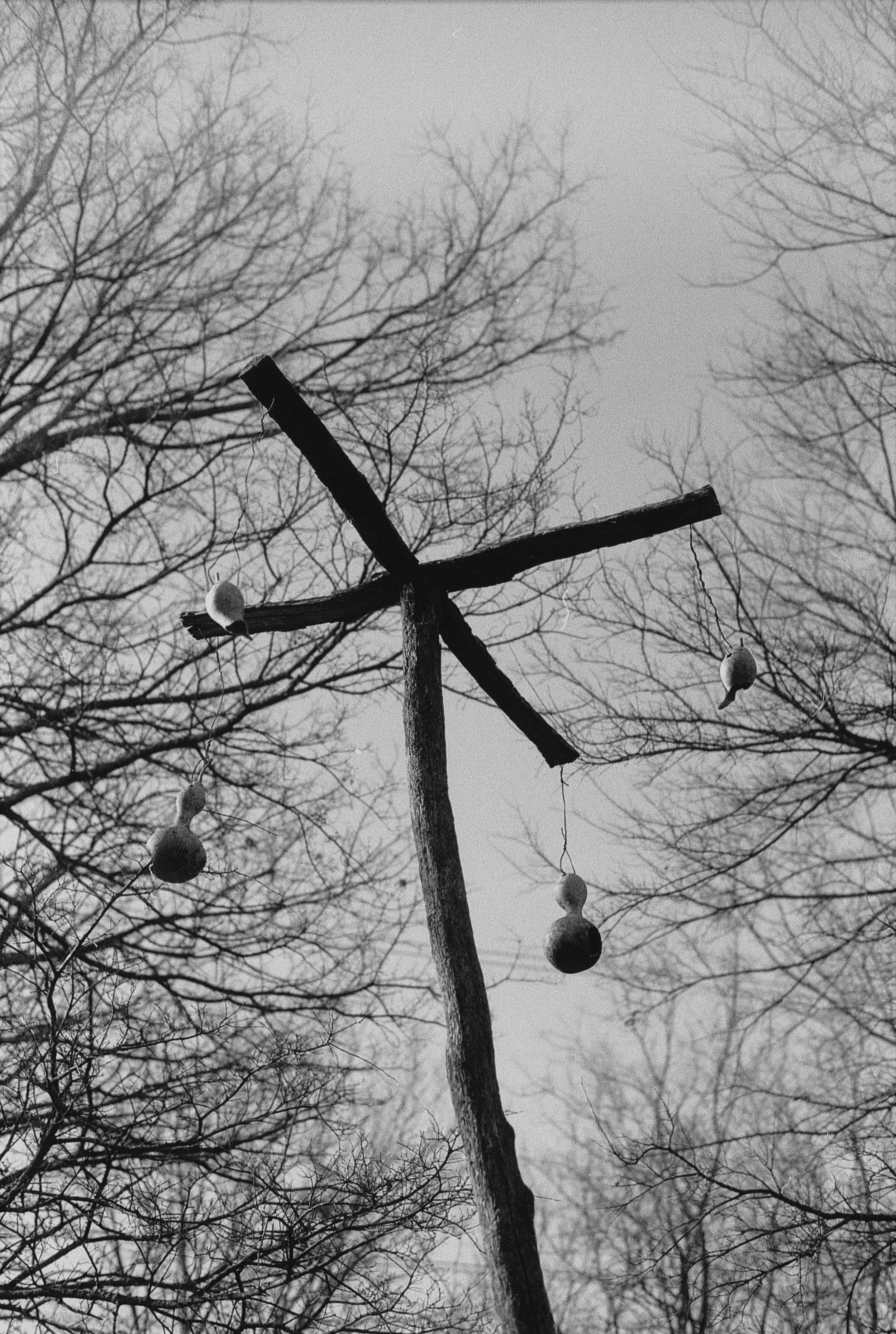 Untitled (4) (2)-2.jpg