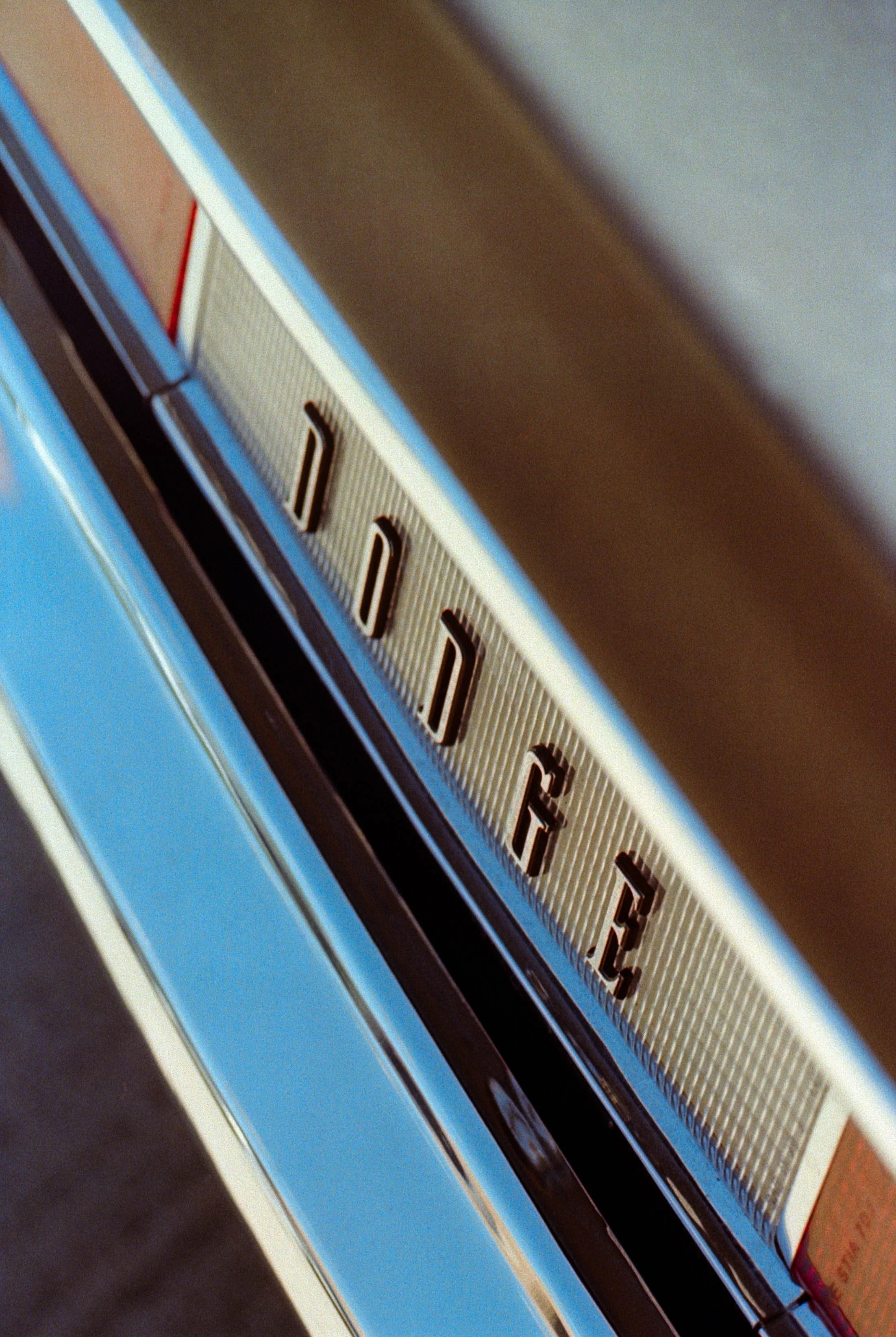 Kodak Pro Image 100
Shot on Sears KSX