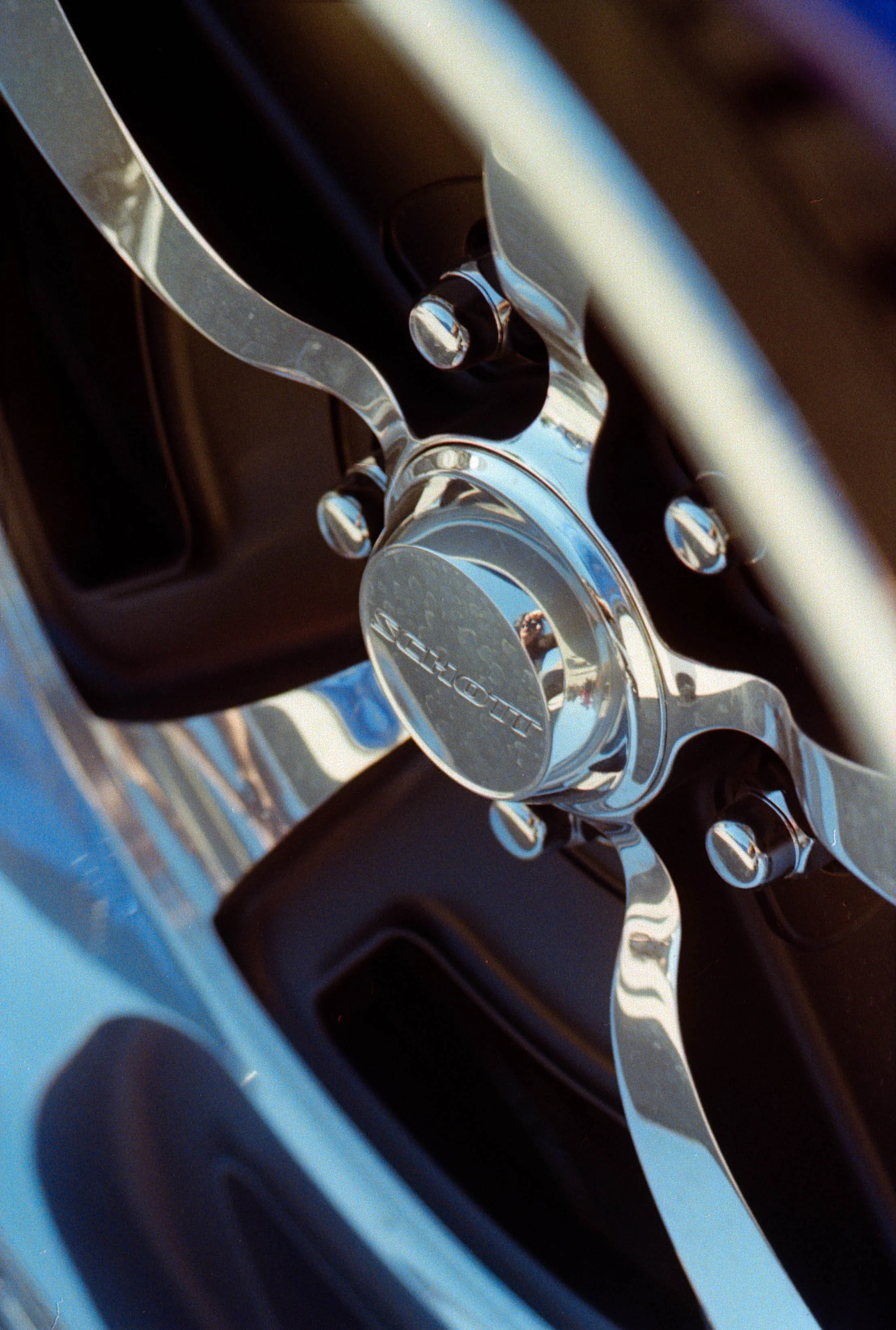 Kodak Pro Image 100
Shot on Sears KSX